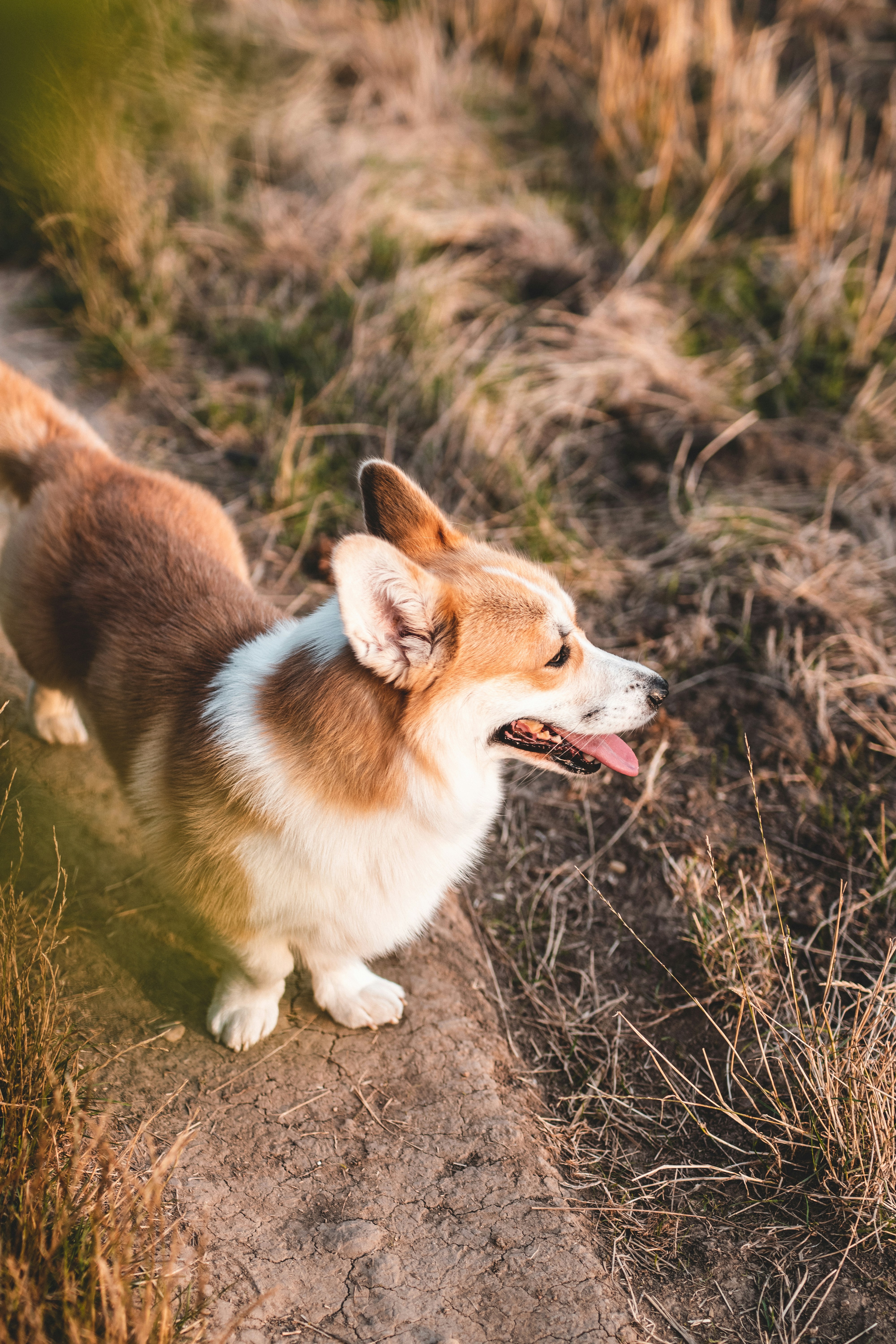 Photo by mikulecmichal