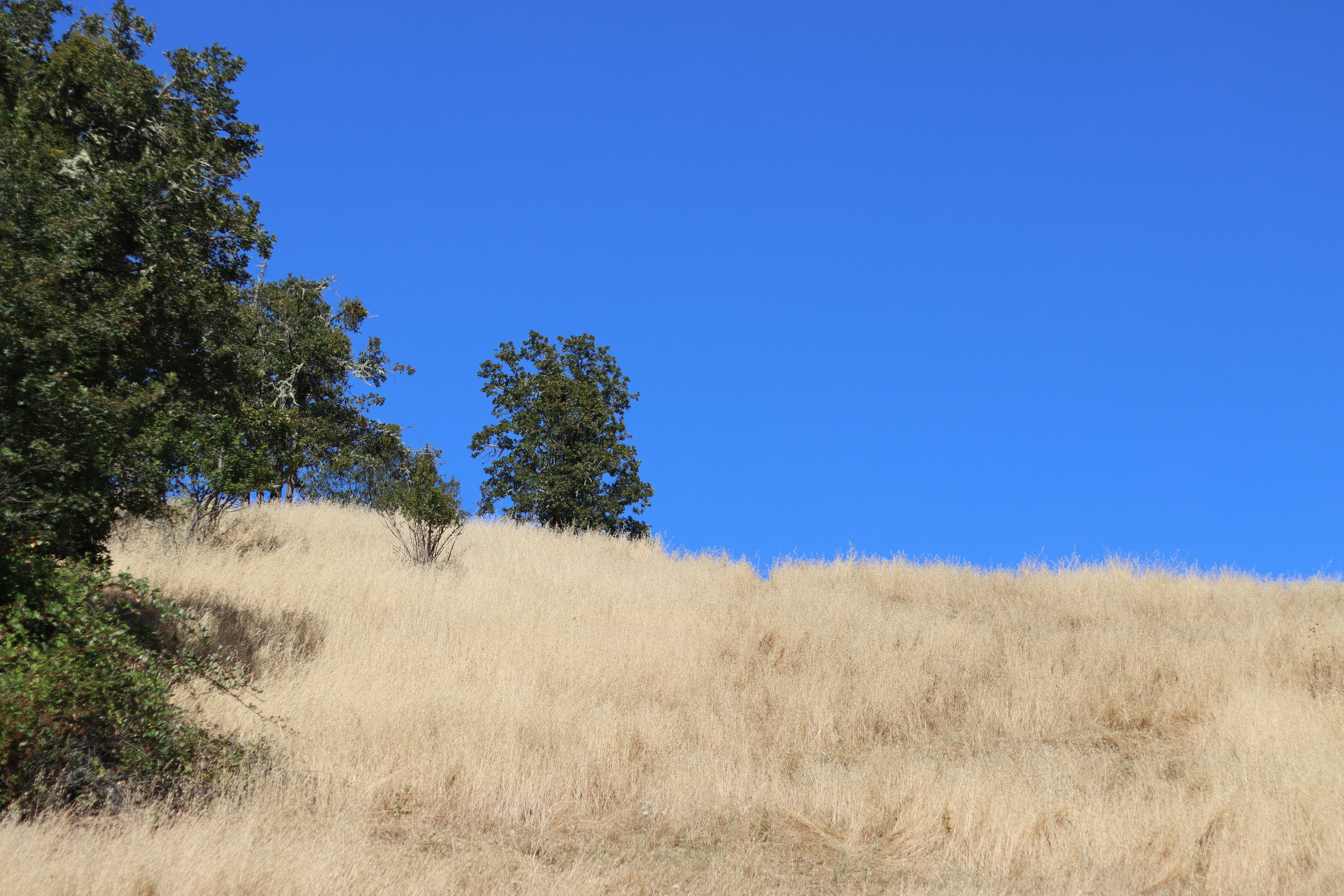 Photo by davidjboozer