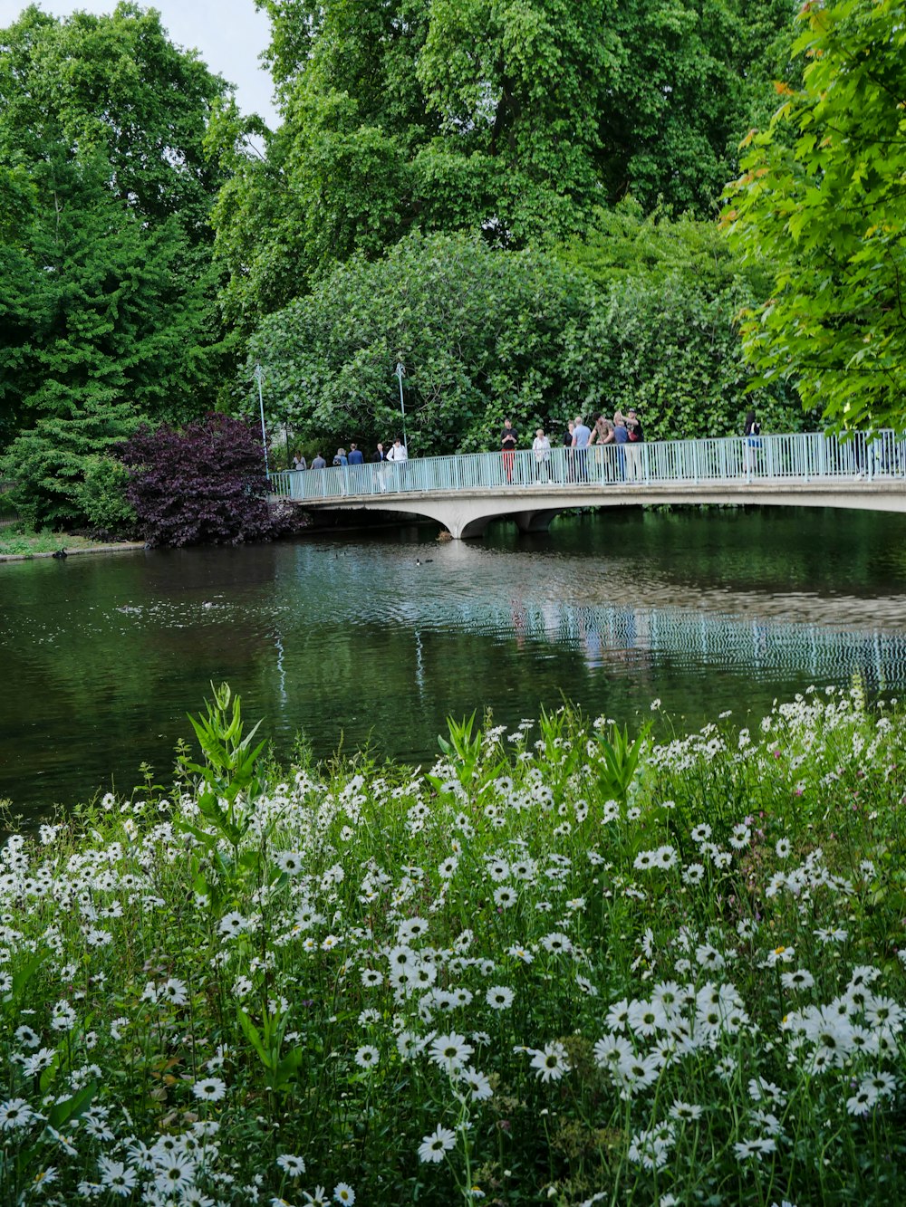 a group of people walking on a bridge over a pond