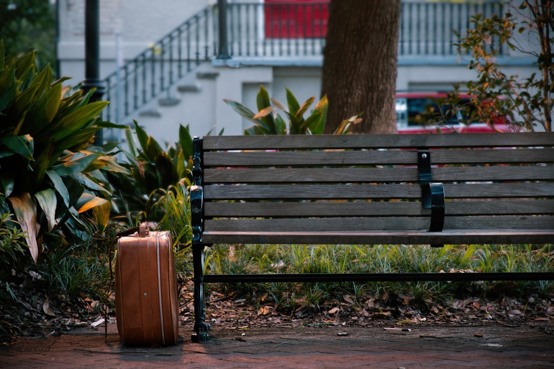 a bench sits unoccupied,