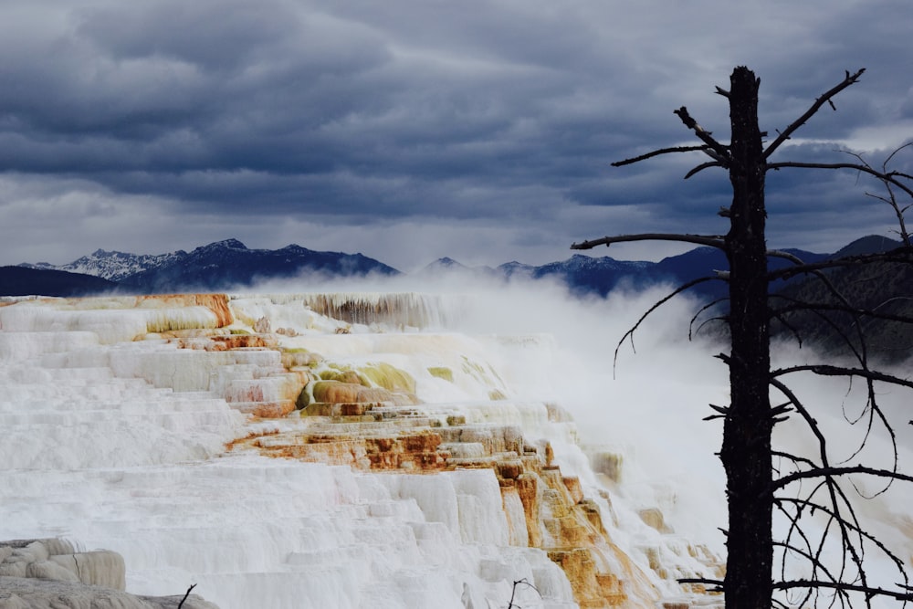 uma paisagem nevada com uma árvore