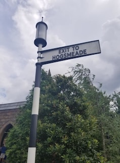 a street sign is posted on a pole