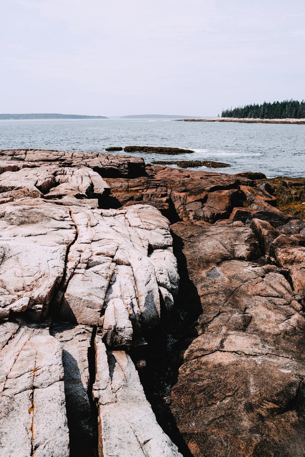 a rocky beach with a body of water in the background