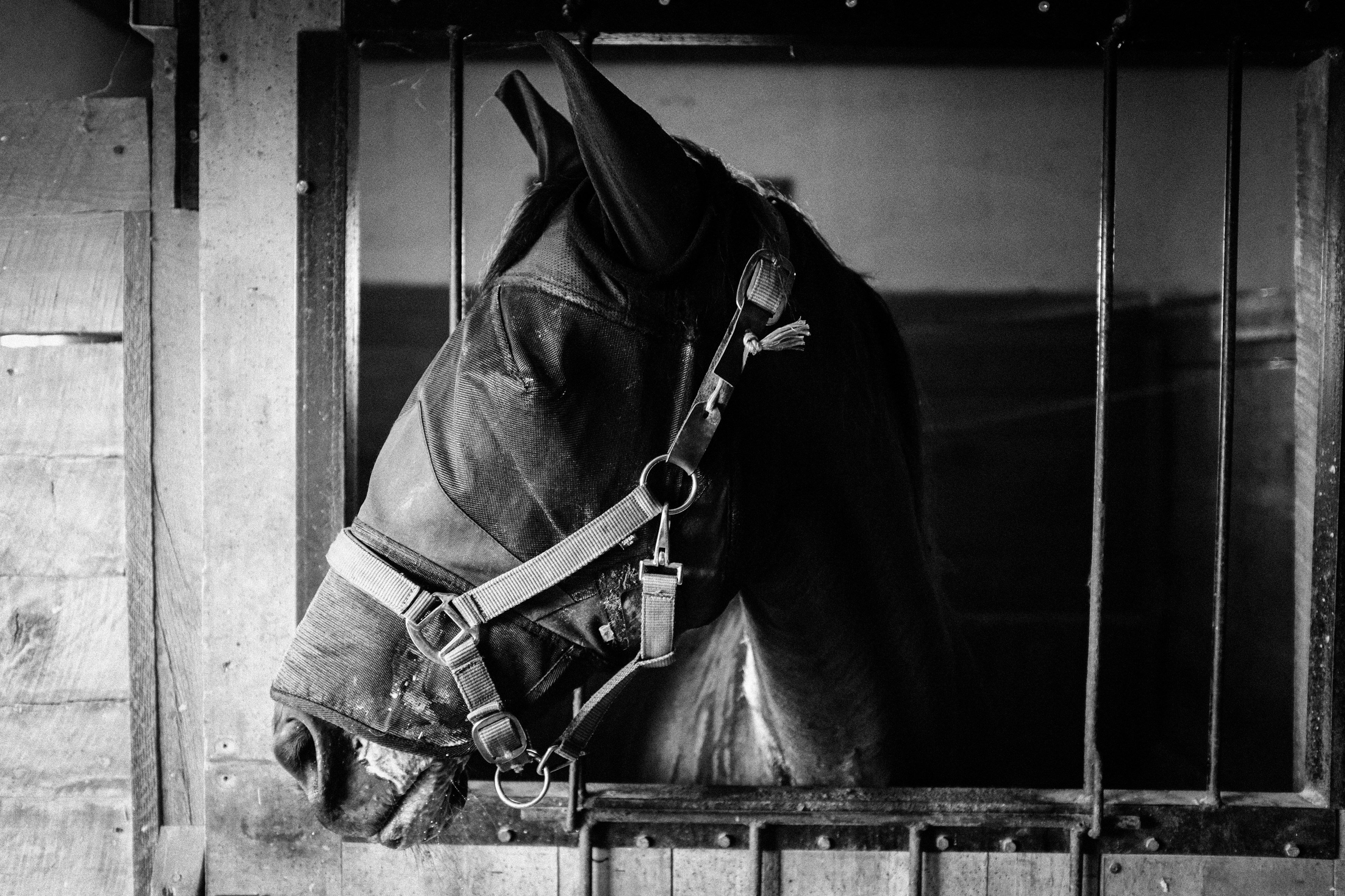 Photo by keithtanman