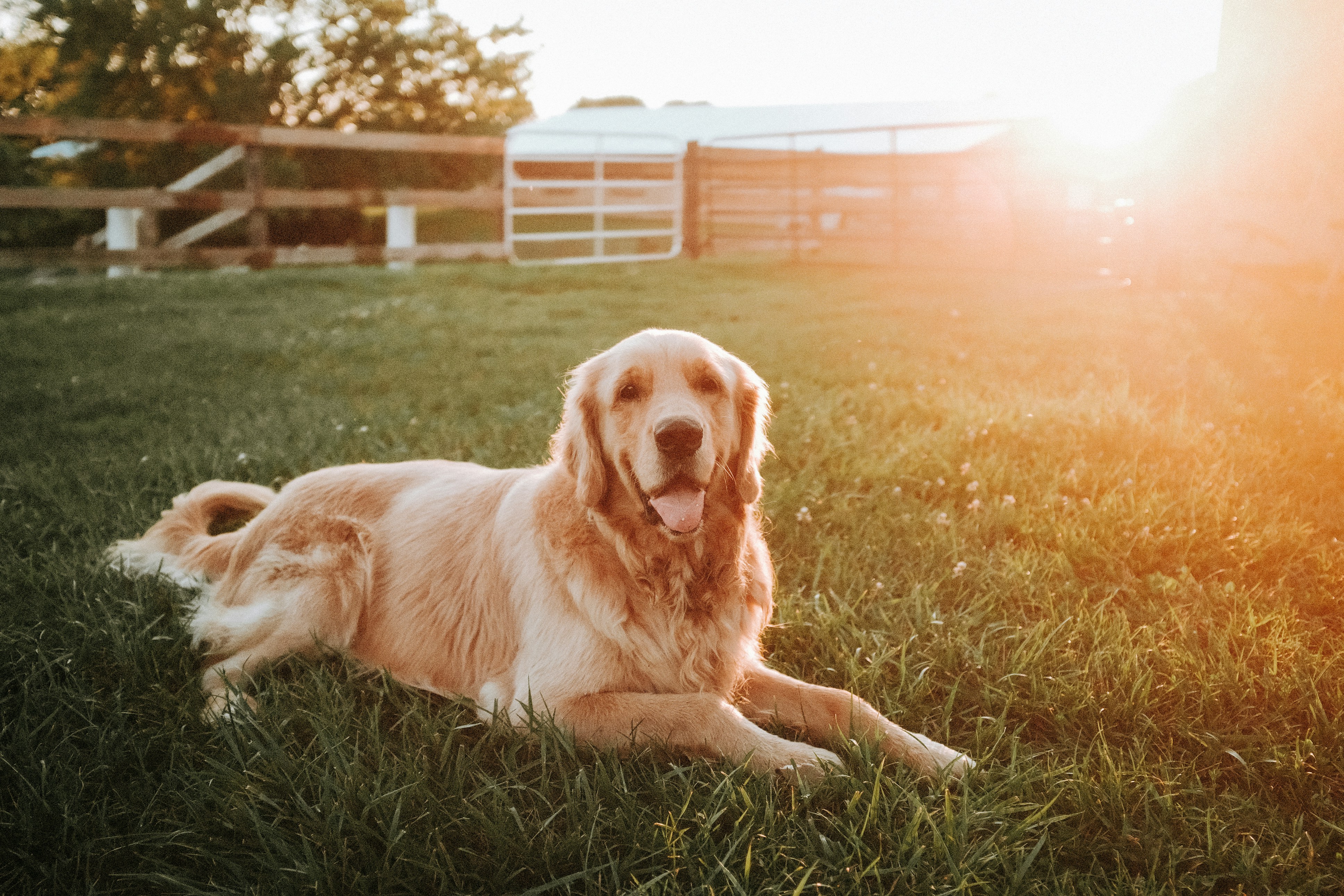 Photo by keithtanman