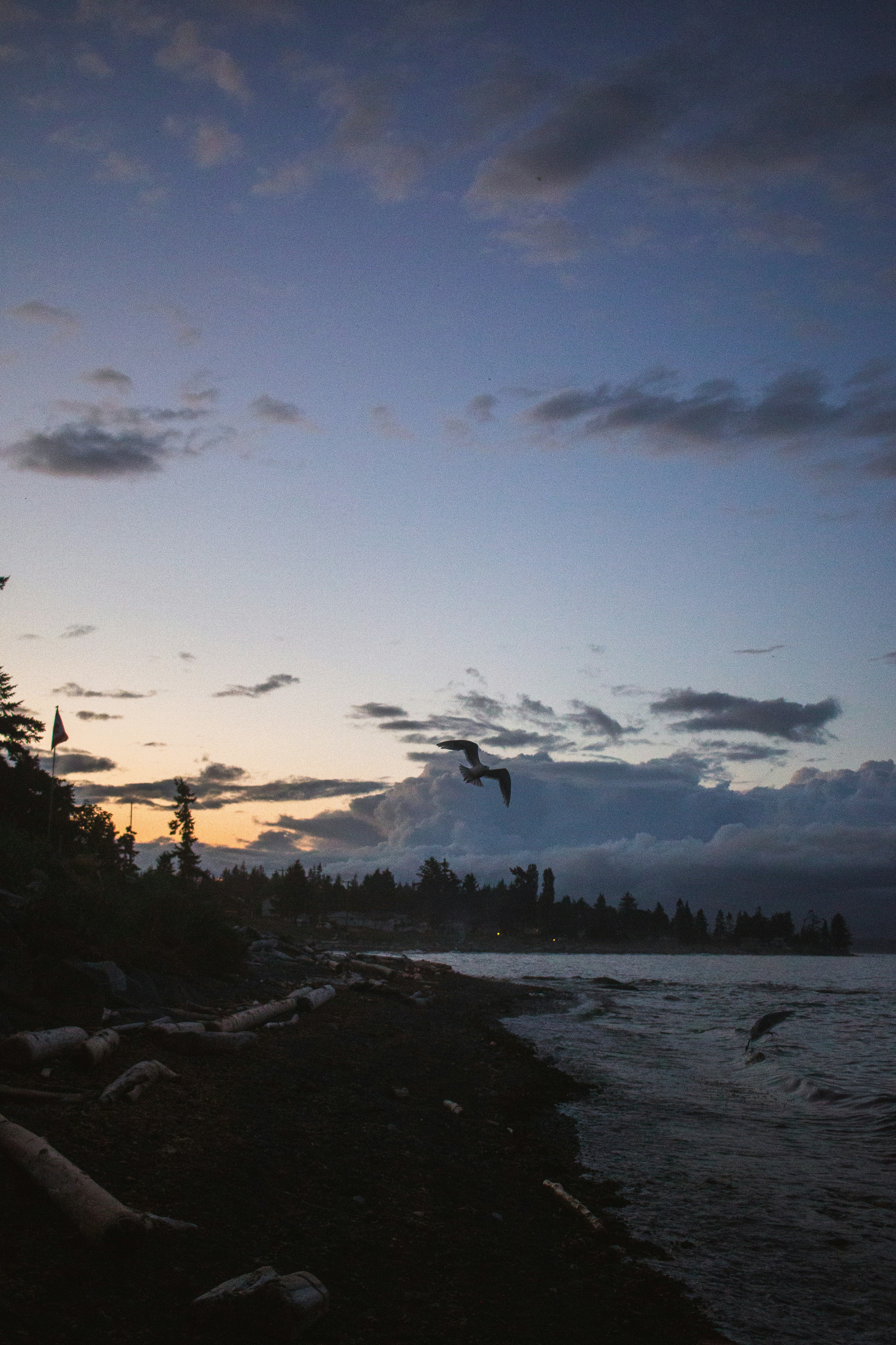 Photo by davidschultz