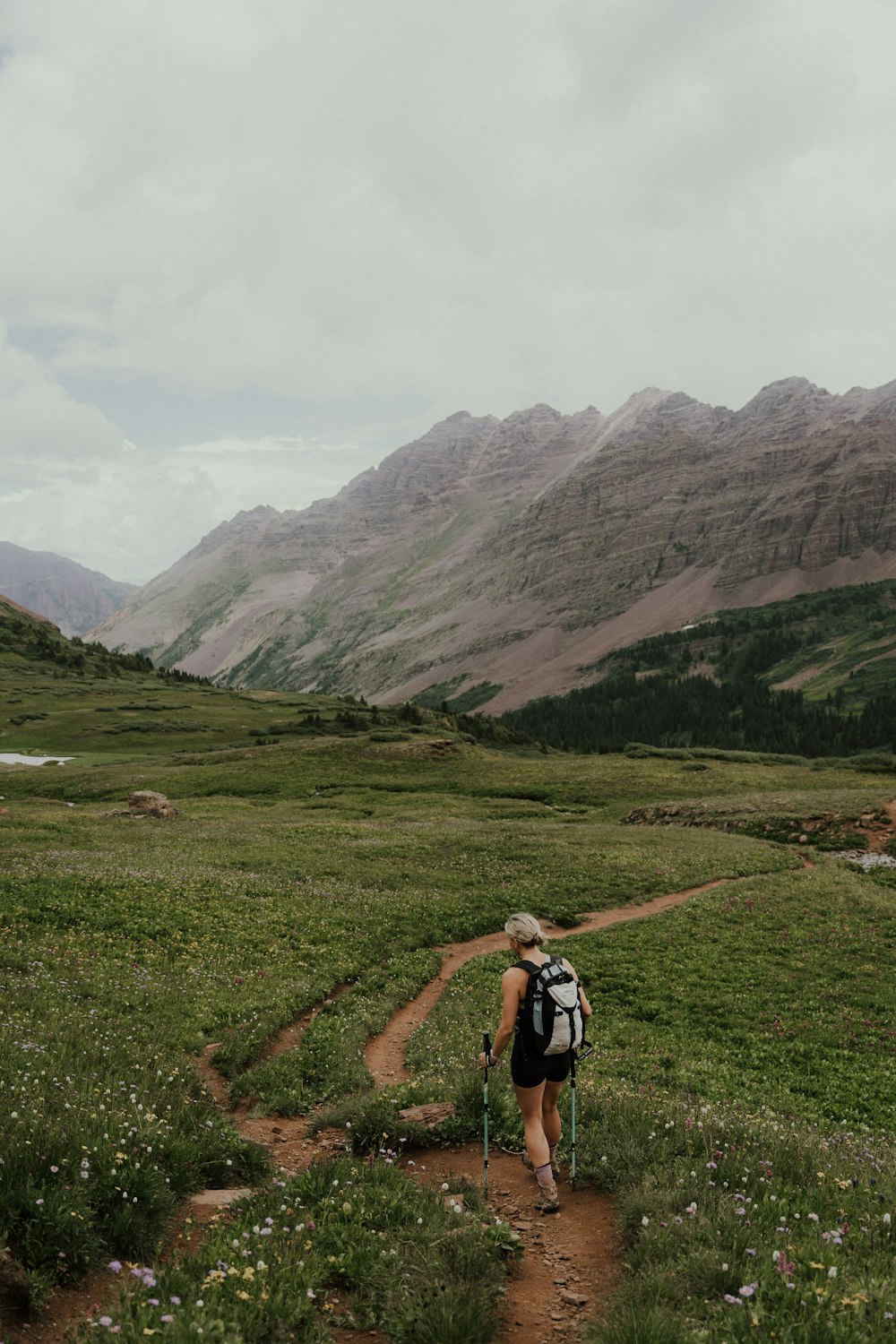a person walking on a trail in a grassy area with mountains in the background
