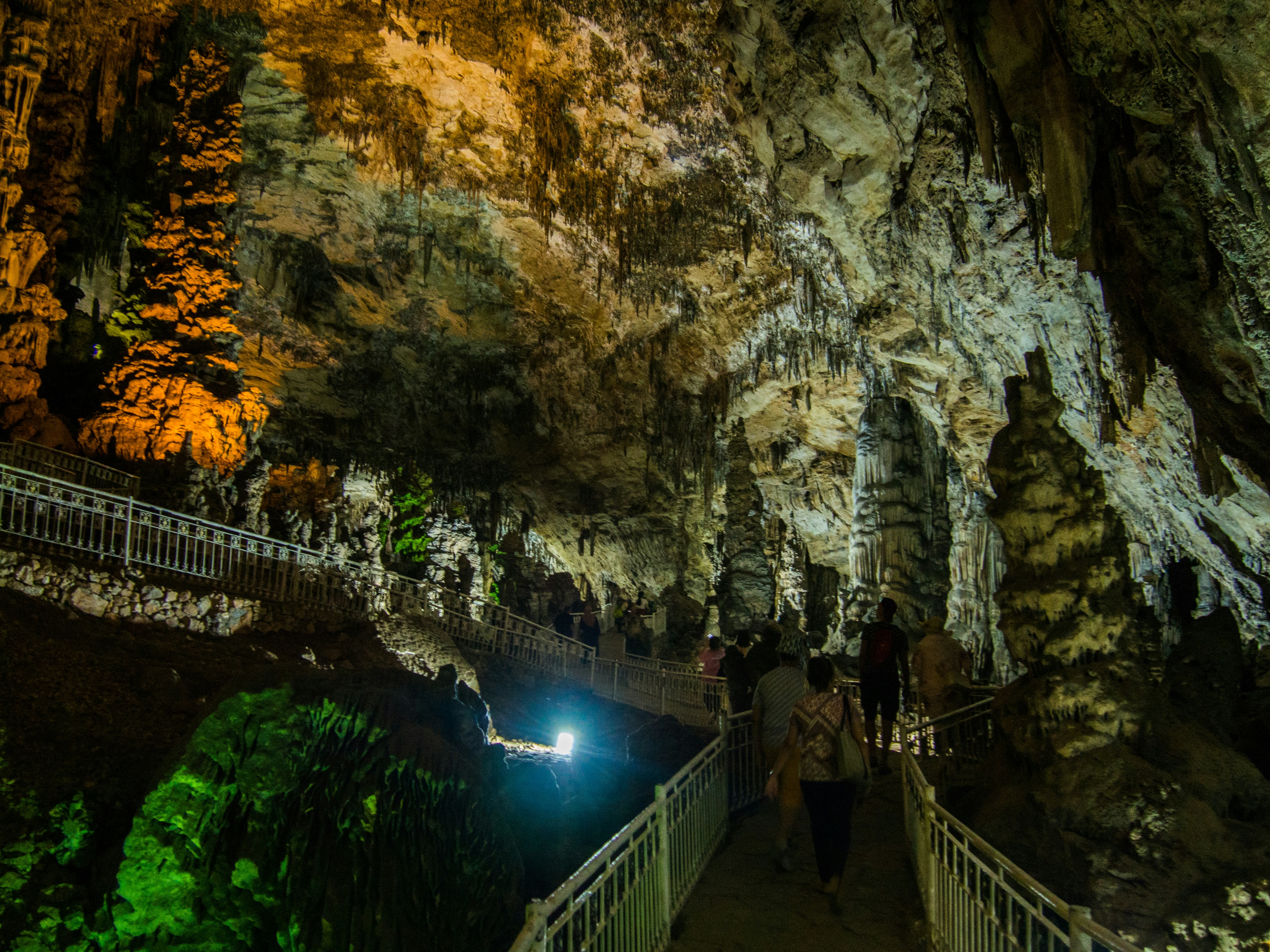 Tours en Cenote Cenote