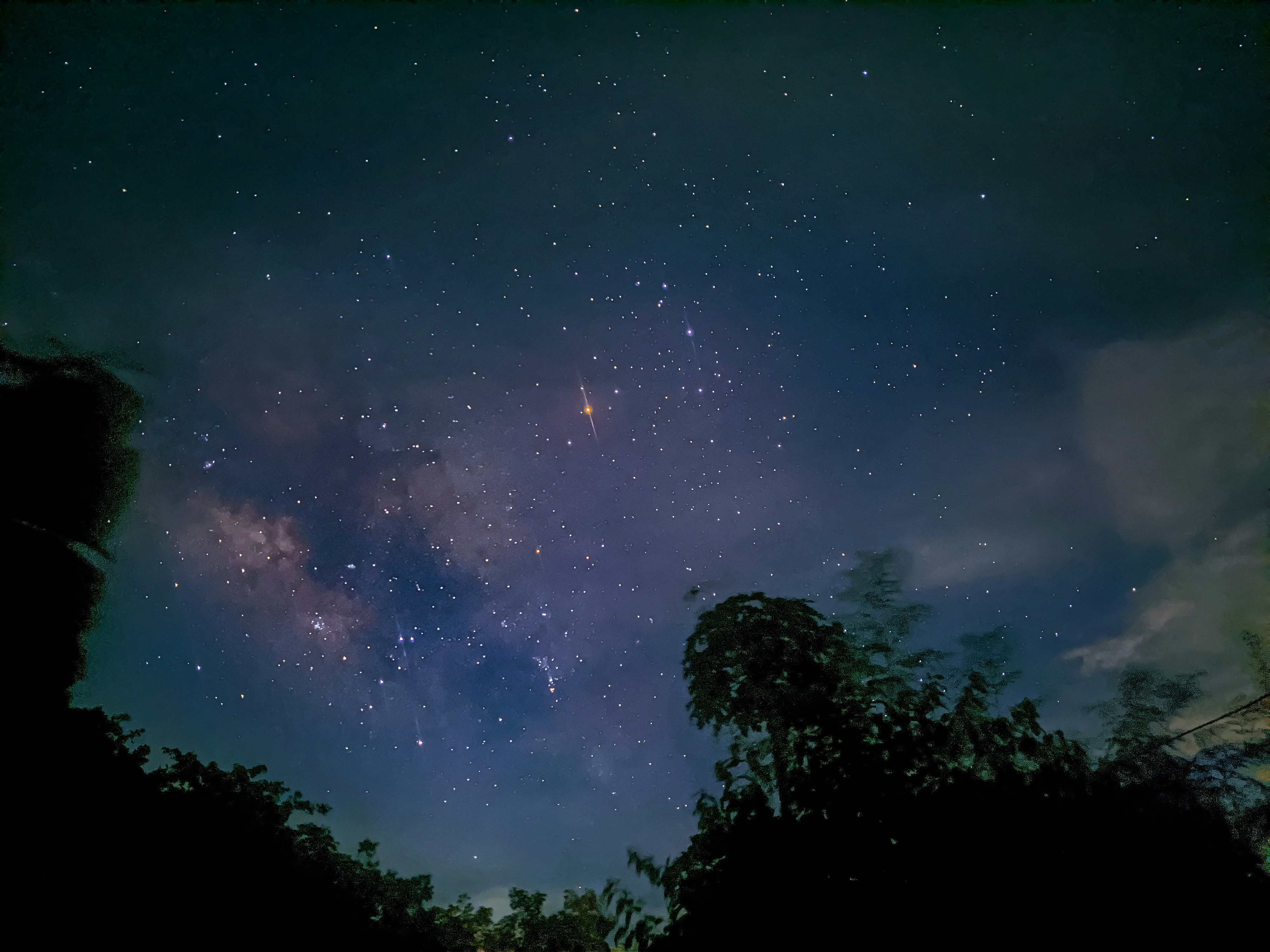 a starry night sky with trees