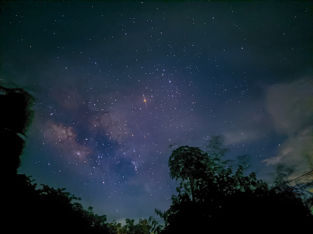 a starry night sky with trees