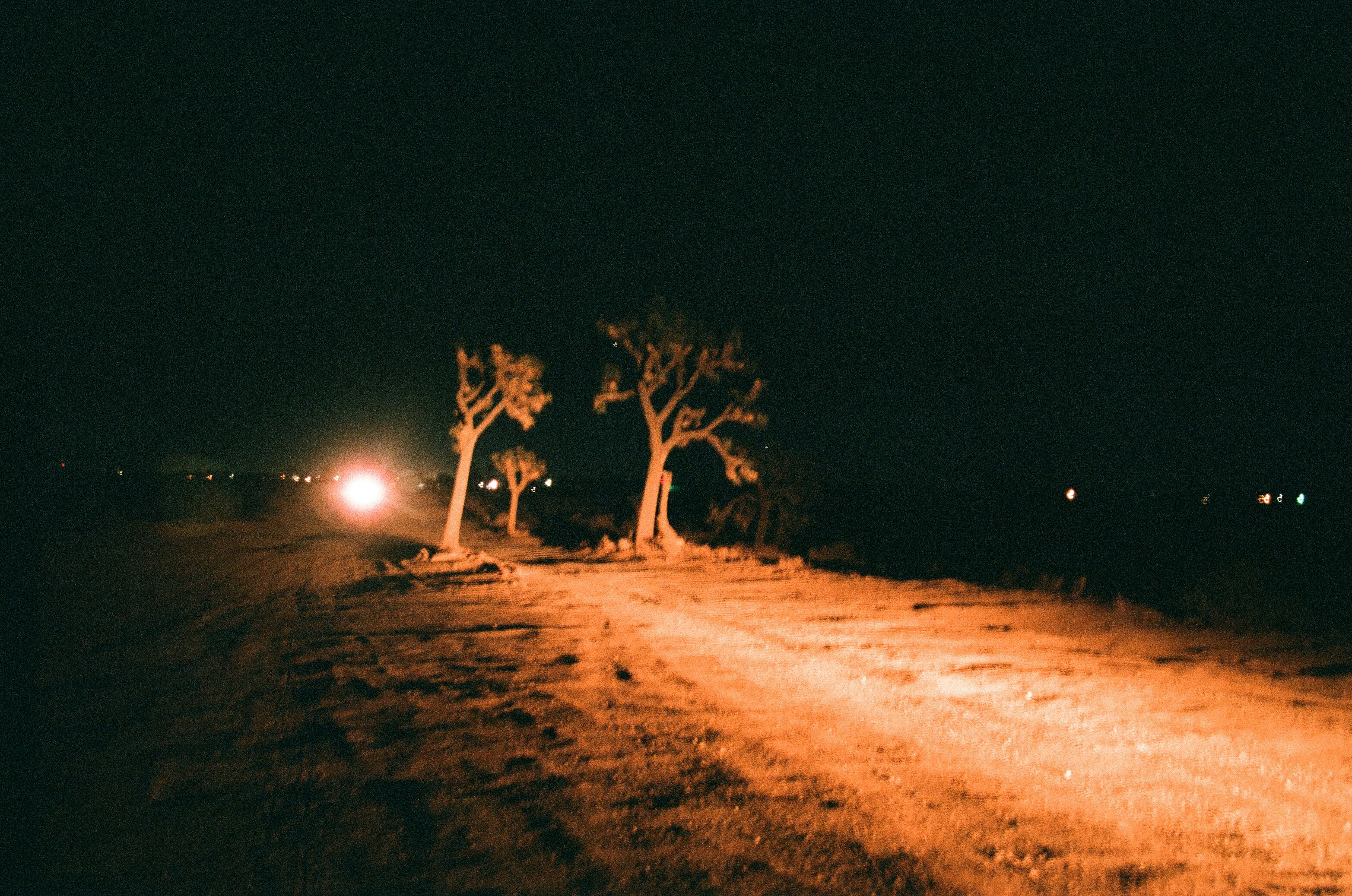 The Lighting Challenge That Nearly Broke the Dream (image credits: unsplash)