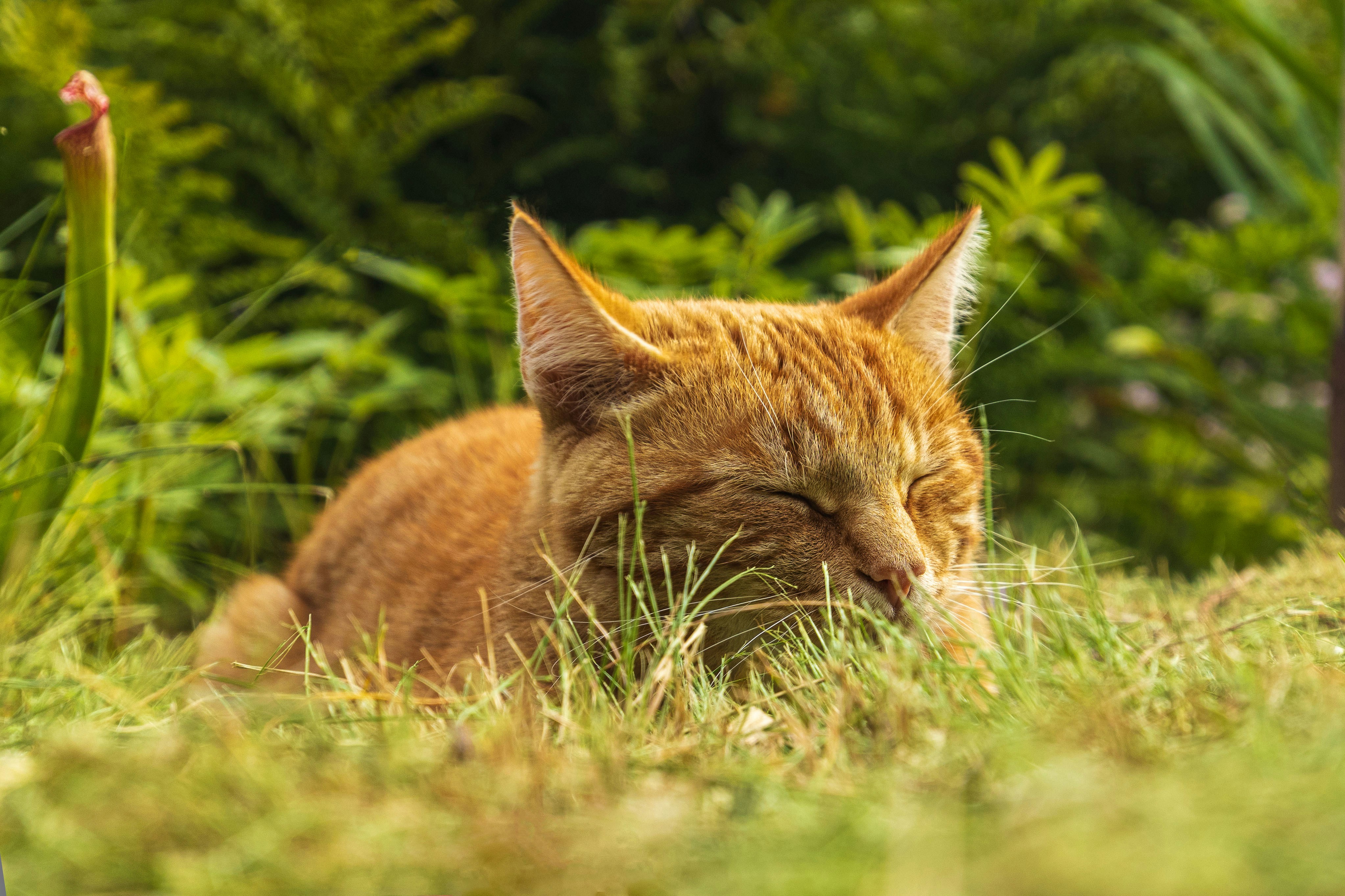 Photo by heino_120206