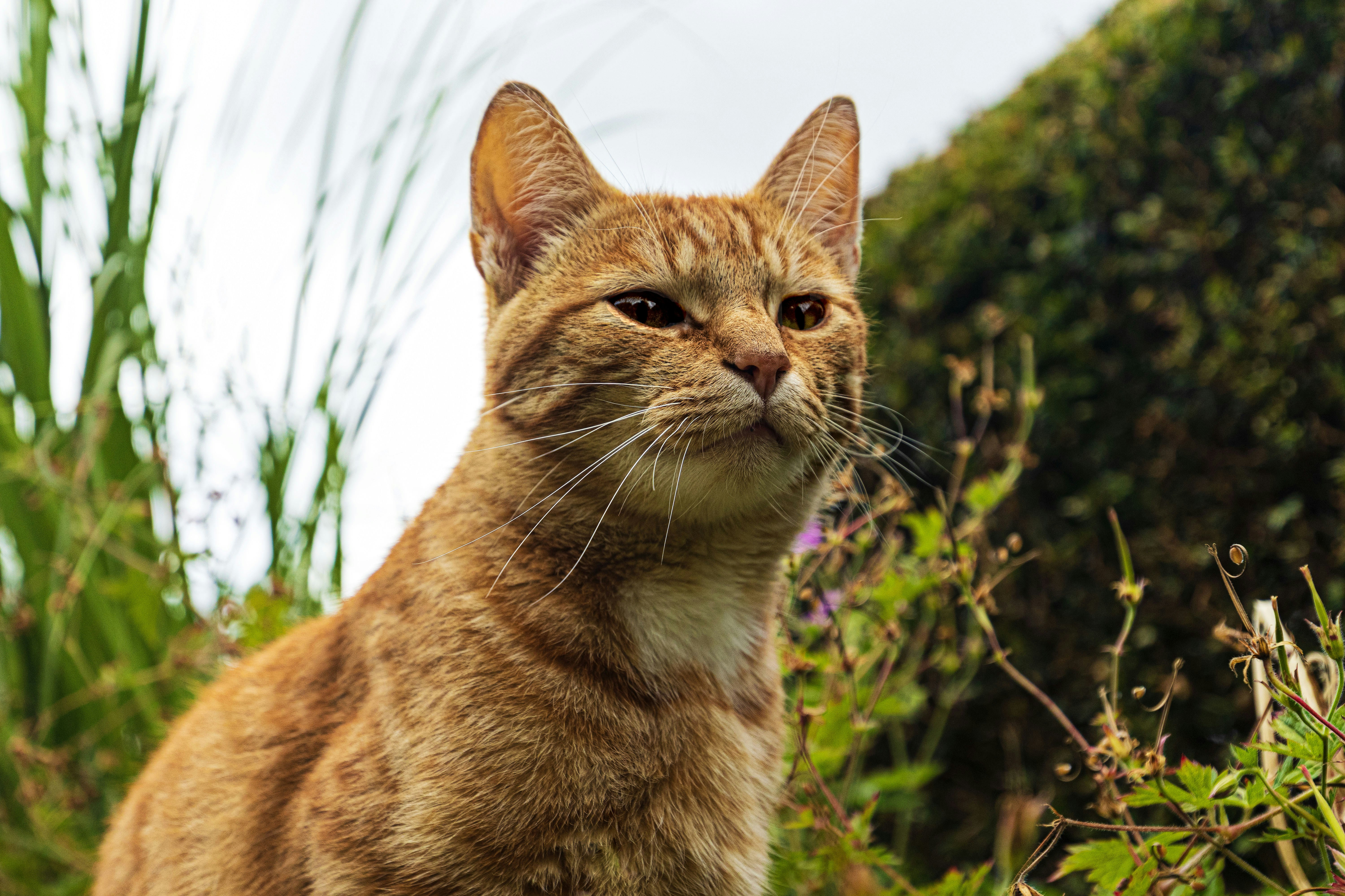 Photo by heino_120206