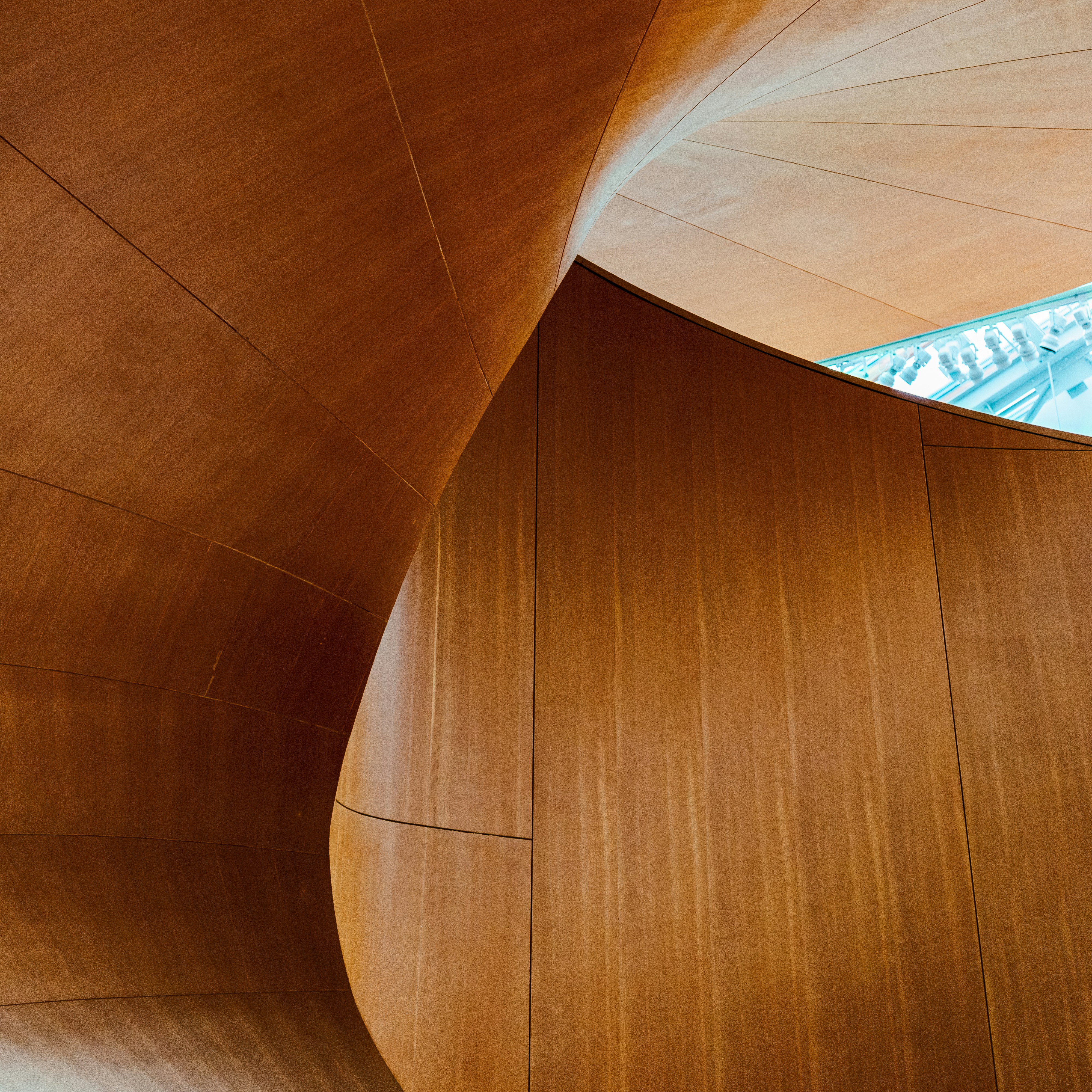 Photo by maxim_klimashin