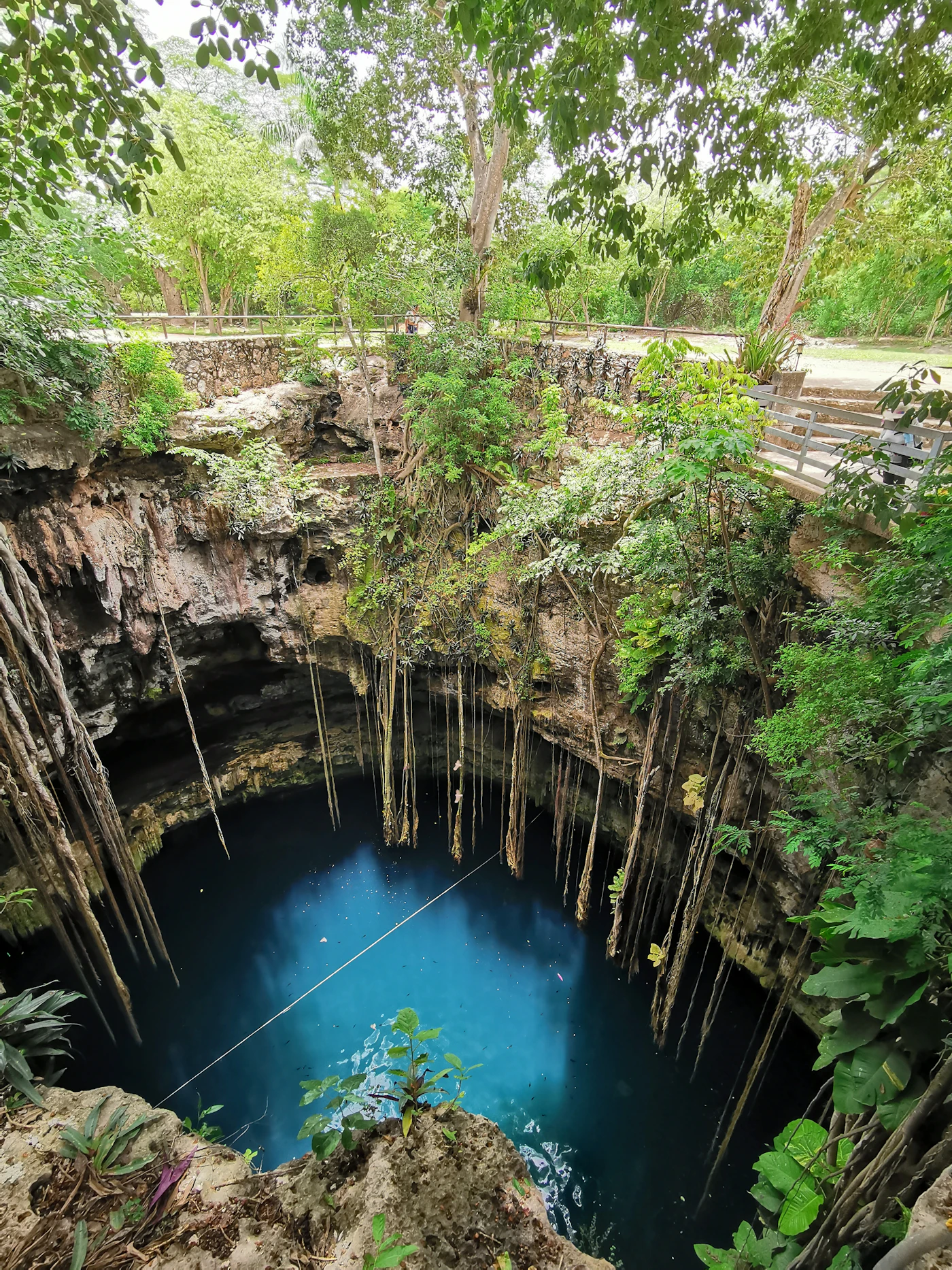Cenote de agua fresca en la selva de la península de Yucatán, México