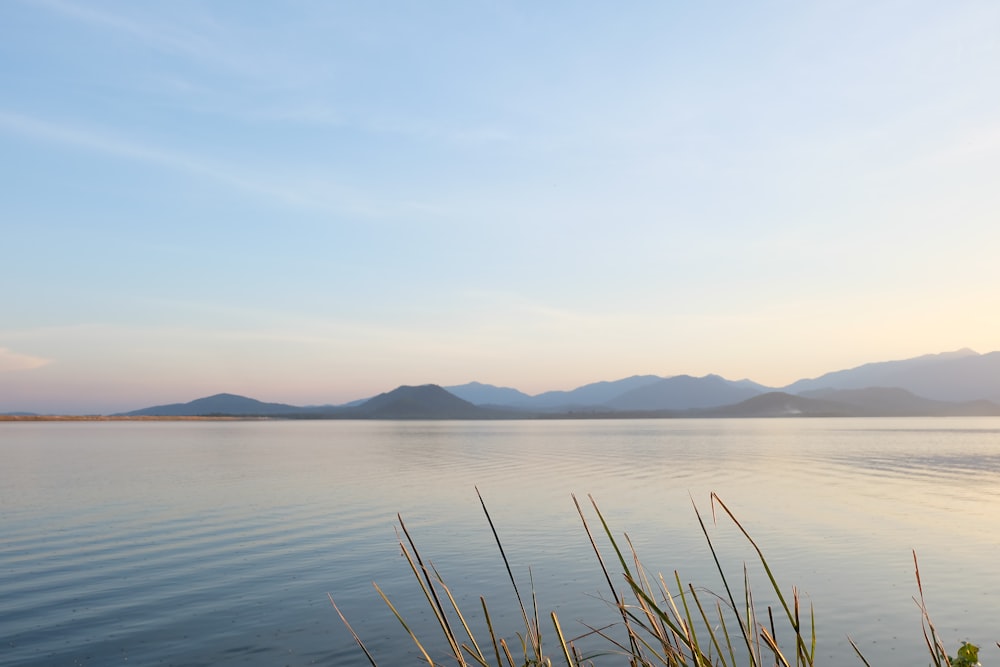 a body of water with mountains in the background