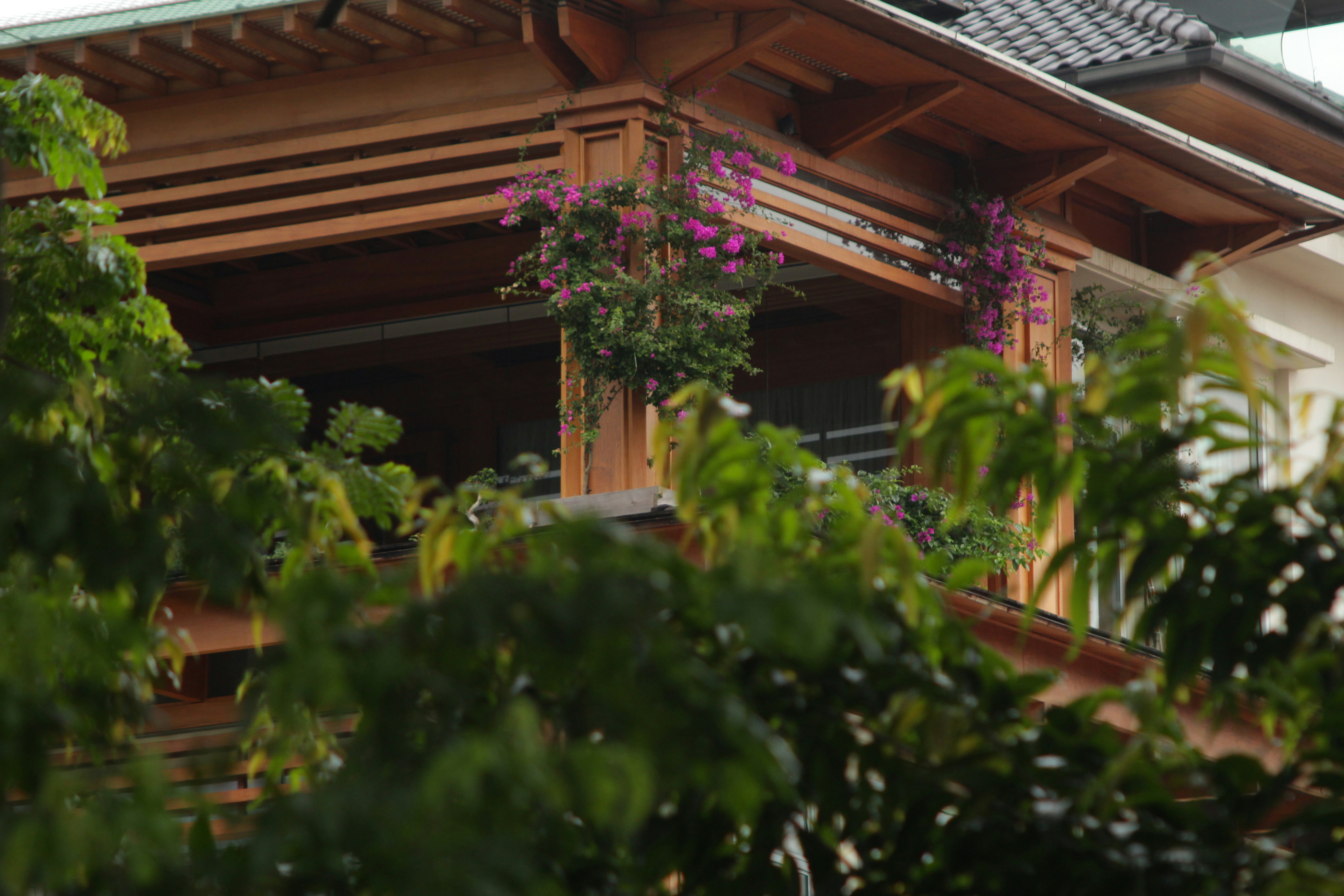 Photo by aungmyat1995