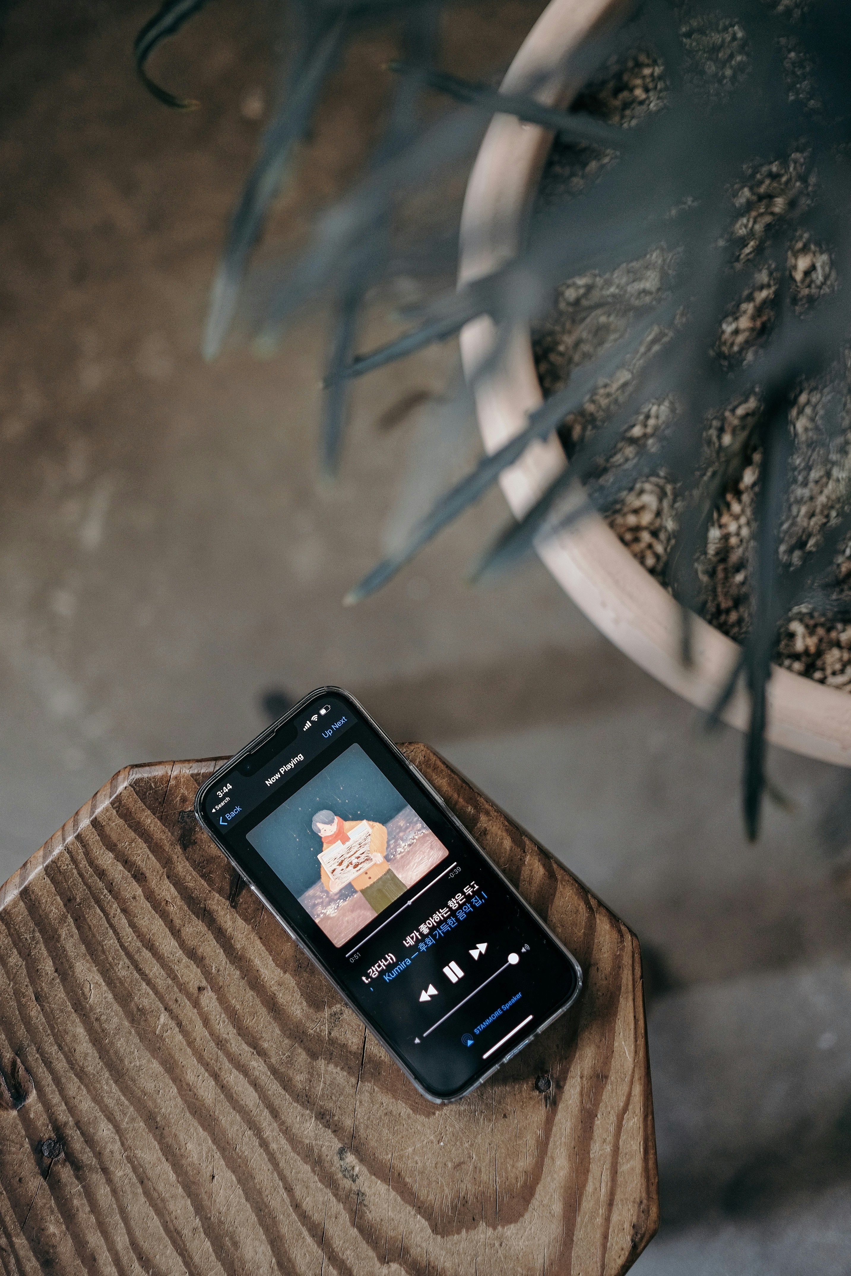 Photo by insungpandora