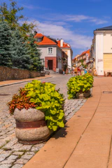 Volunteers planting flowers along the cobblestone streets of Cunziria.