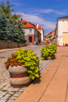 Volunteers planting flowers along the cobblestone streets of Cunziria.