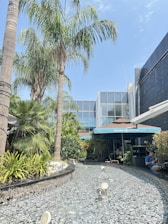 Elegant corporate outdoor space featuring custom landscaping and sustainable plants