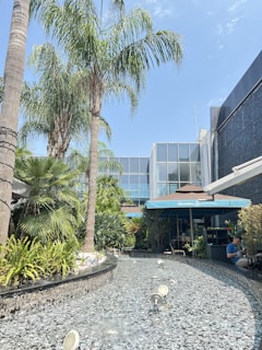 A serene outdoor space featuring tall palm trees and lush green plants surrounding a shallow water feature with embedded lighting. A modern building with large glass windows is in the background. There's a blue canopy with the name of a coffee shop, under which a person is sitting at a table.