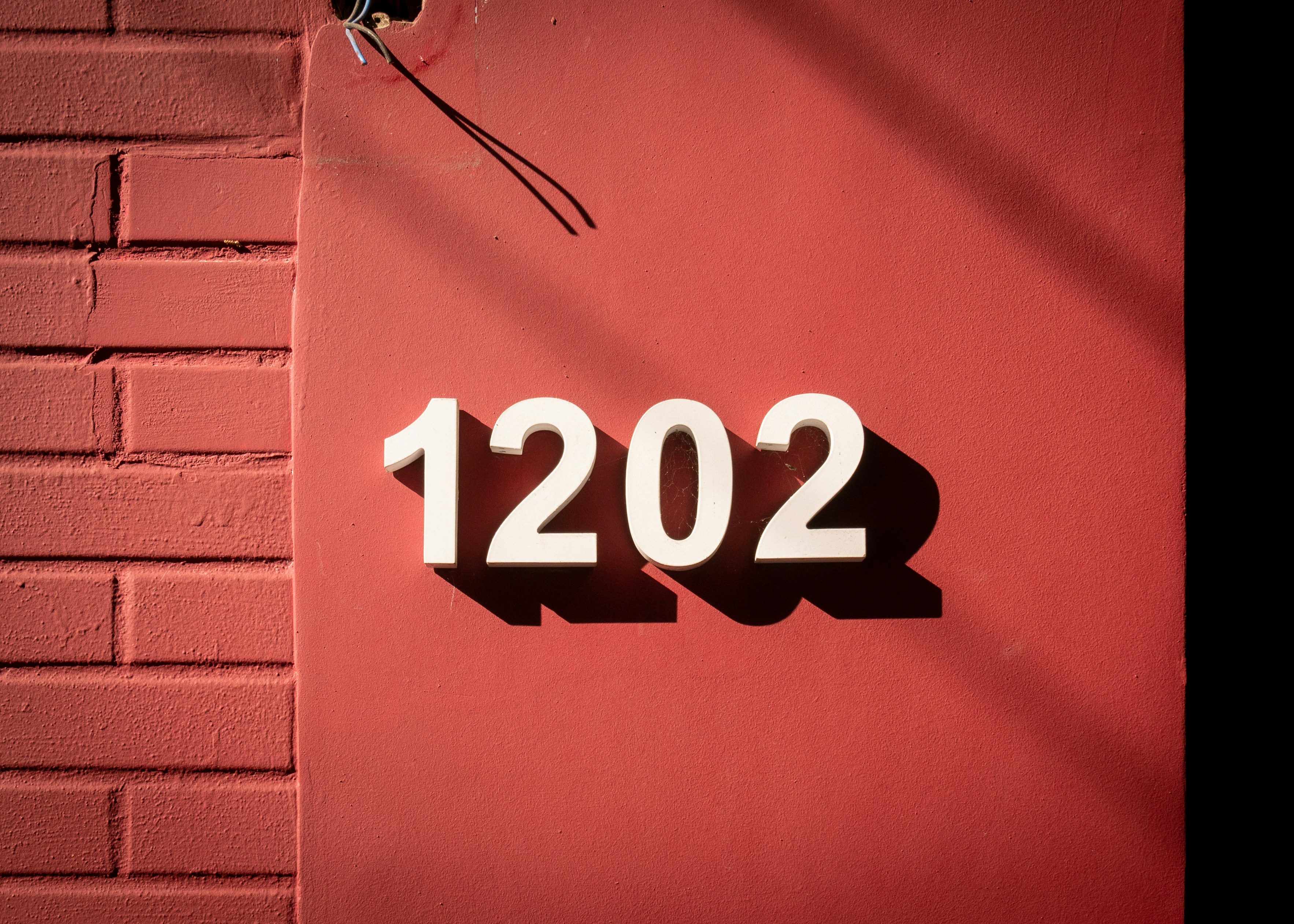 photo-1659783552989-985b6039ec5c?ixid=M3wxMjA3fDB8MXxzZWFyY2h8MTN8fGFtYmtpbmcxMjM0fGVufDB8fHx8MTc2MzgyNjAwMHww\u0026ixlib=rb-4.1.0