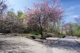 A peaceful park with blooming flowers and walking paths under a bright sun.