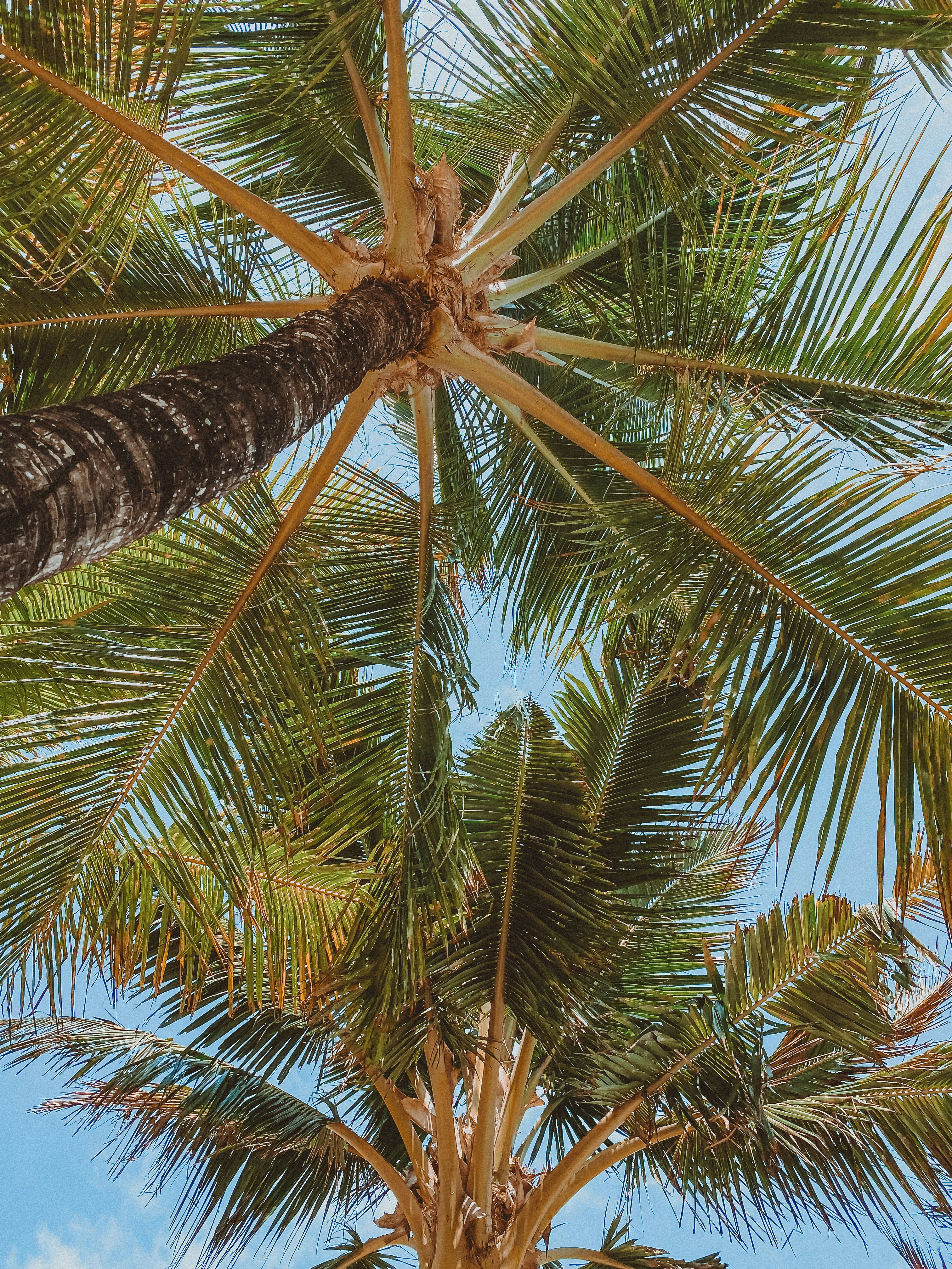 Photo by never_try_never_know