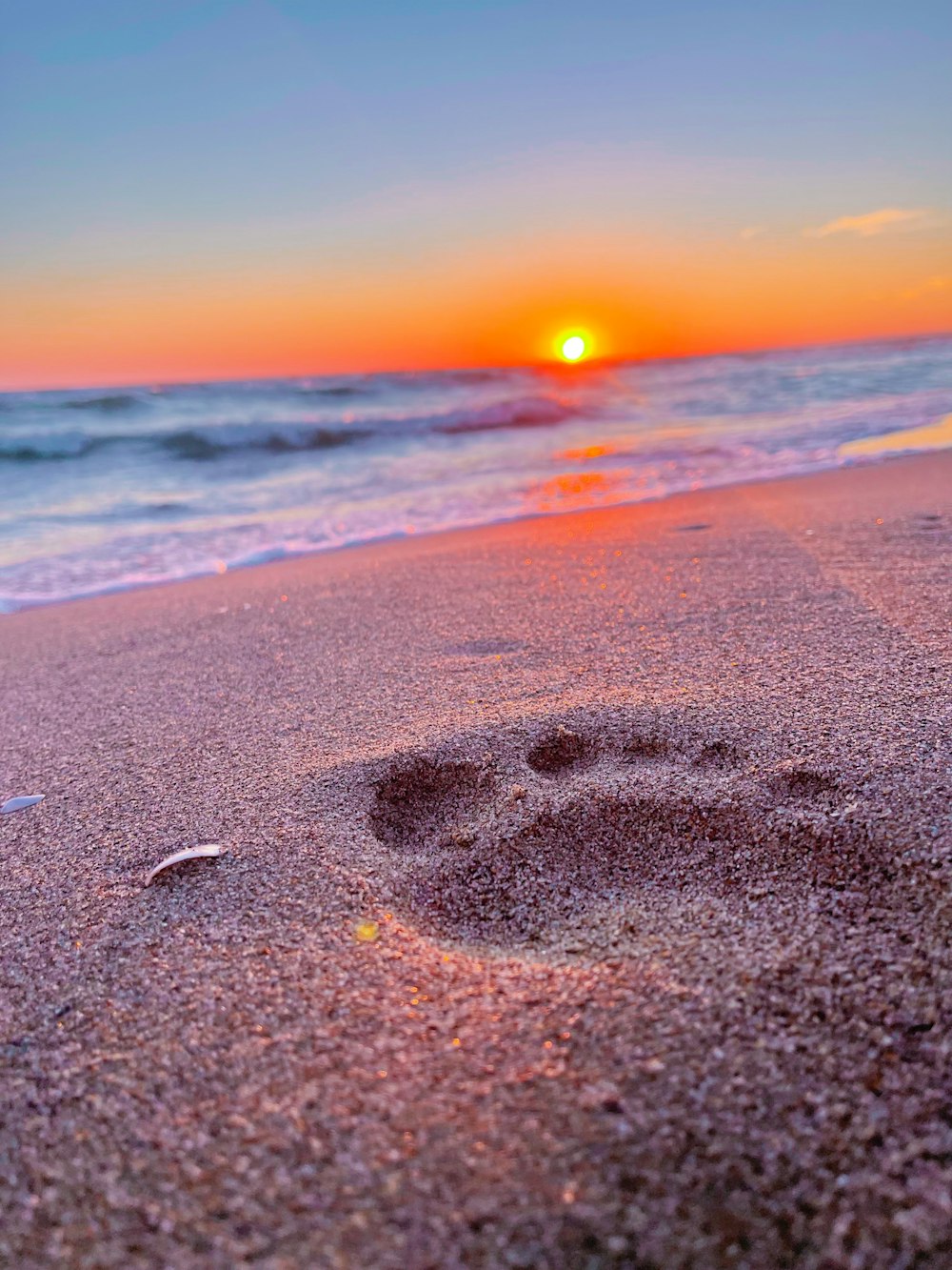 uma praia com um pôr do sol