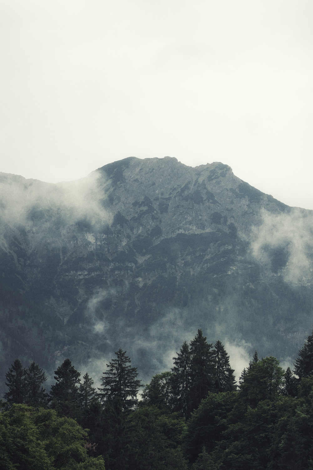 a mountain with trees below