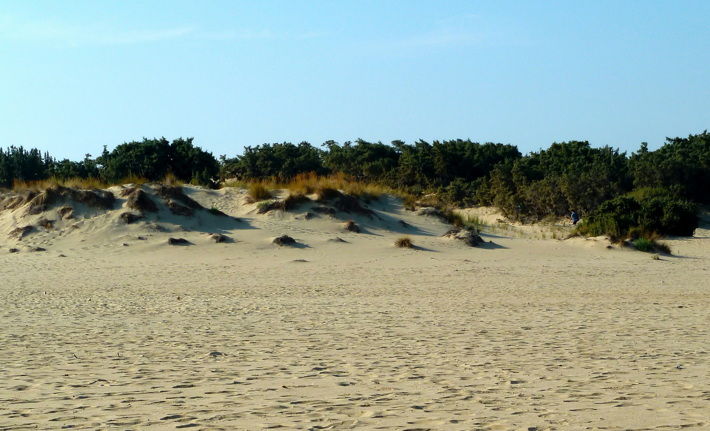 Photo by paolo_gregotti