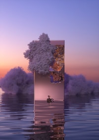 website design services