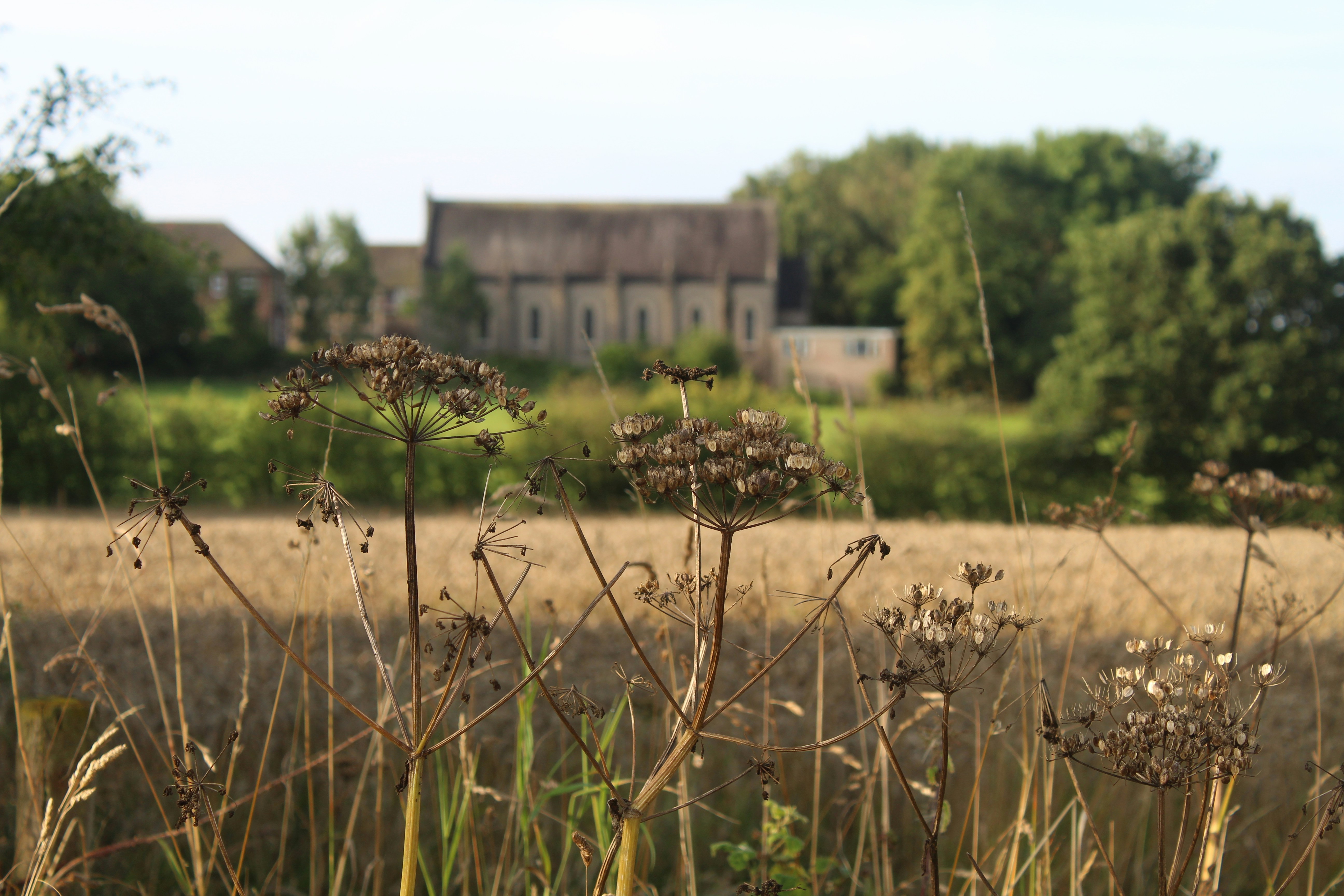 Photo by andrew_hall