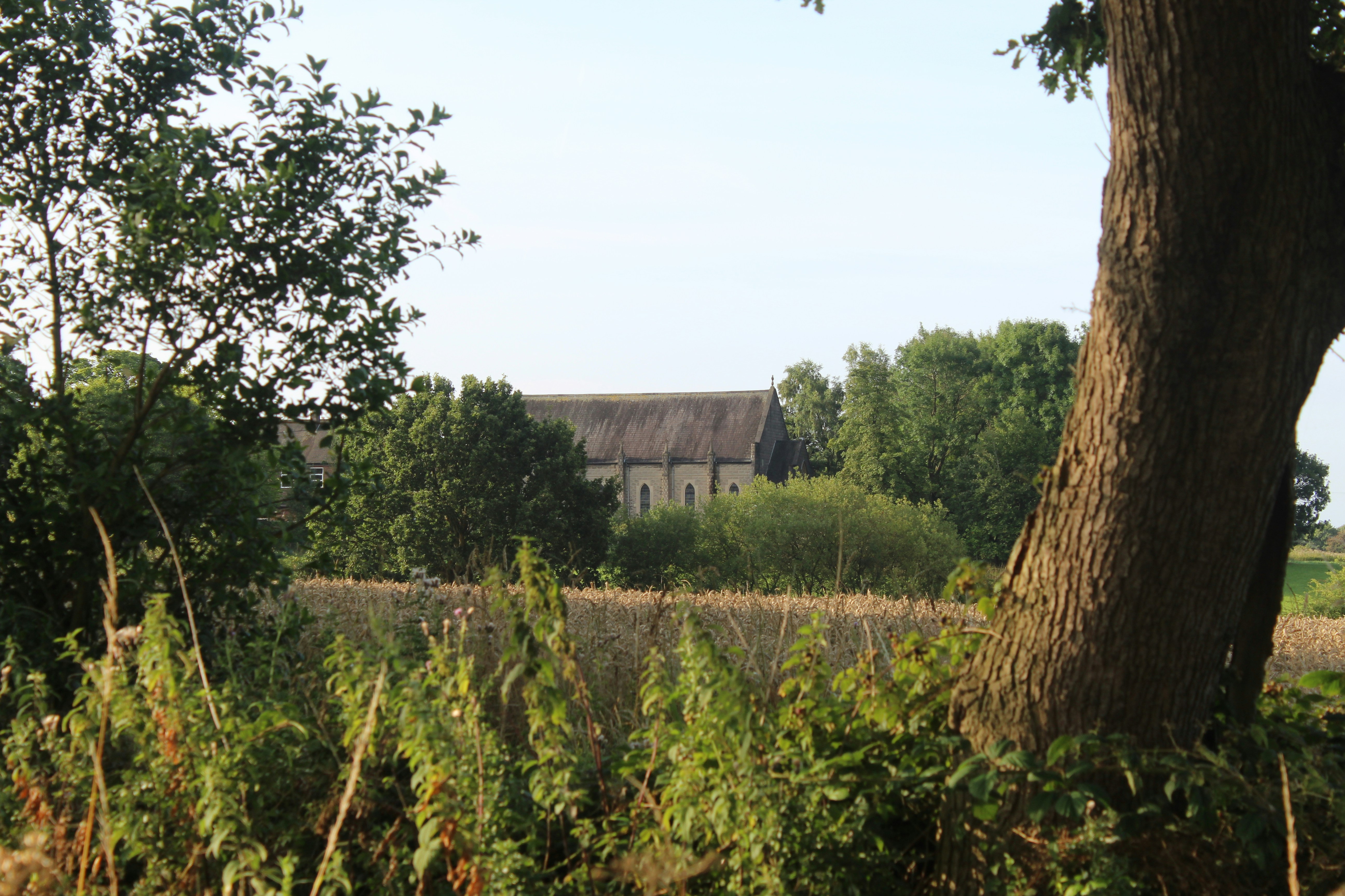 Photo by andrew_hall