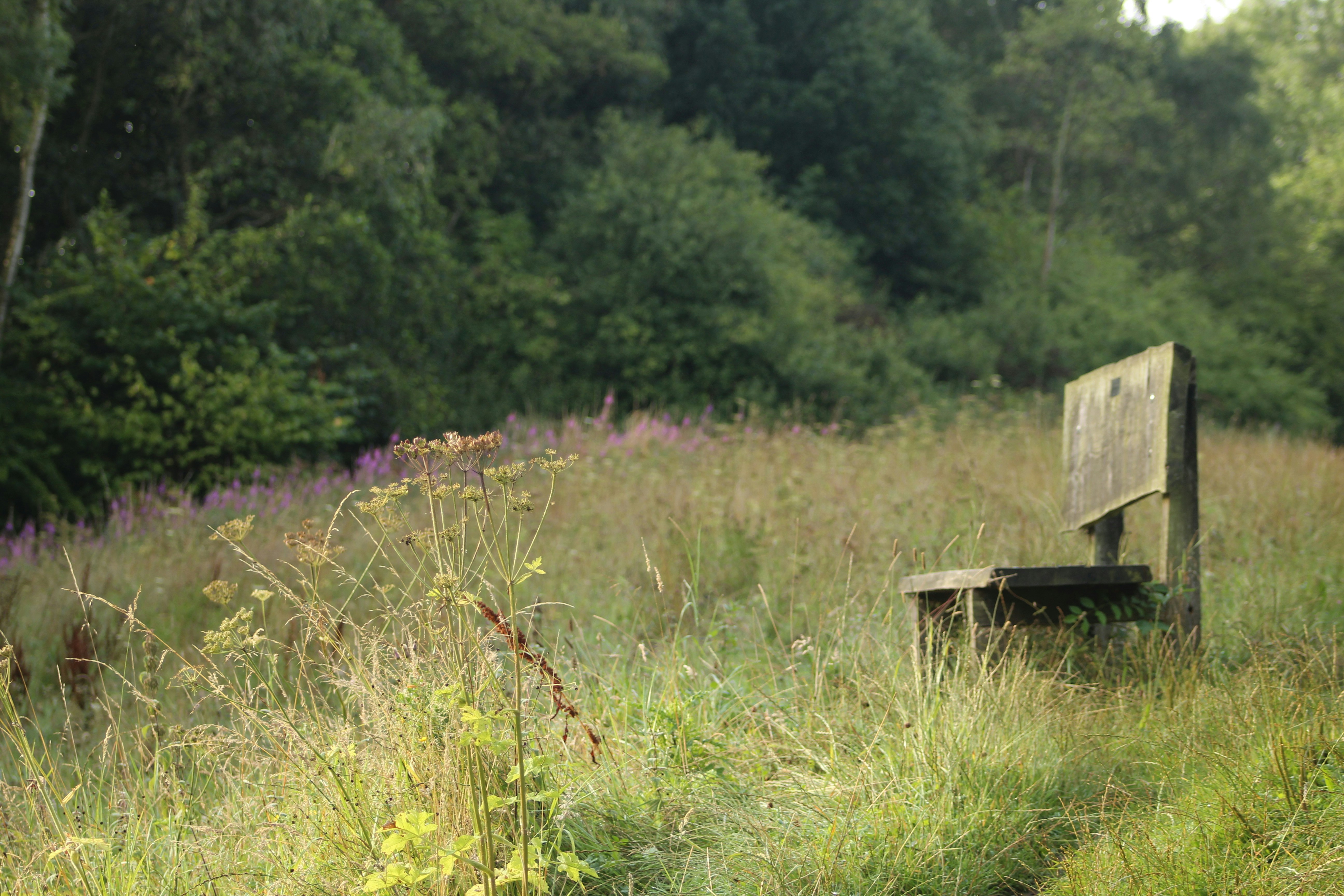 Photo by andrew_hall