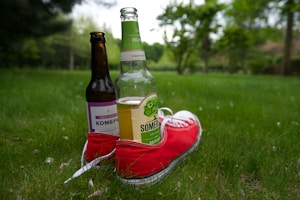Berry Electrolyte Mix