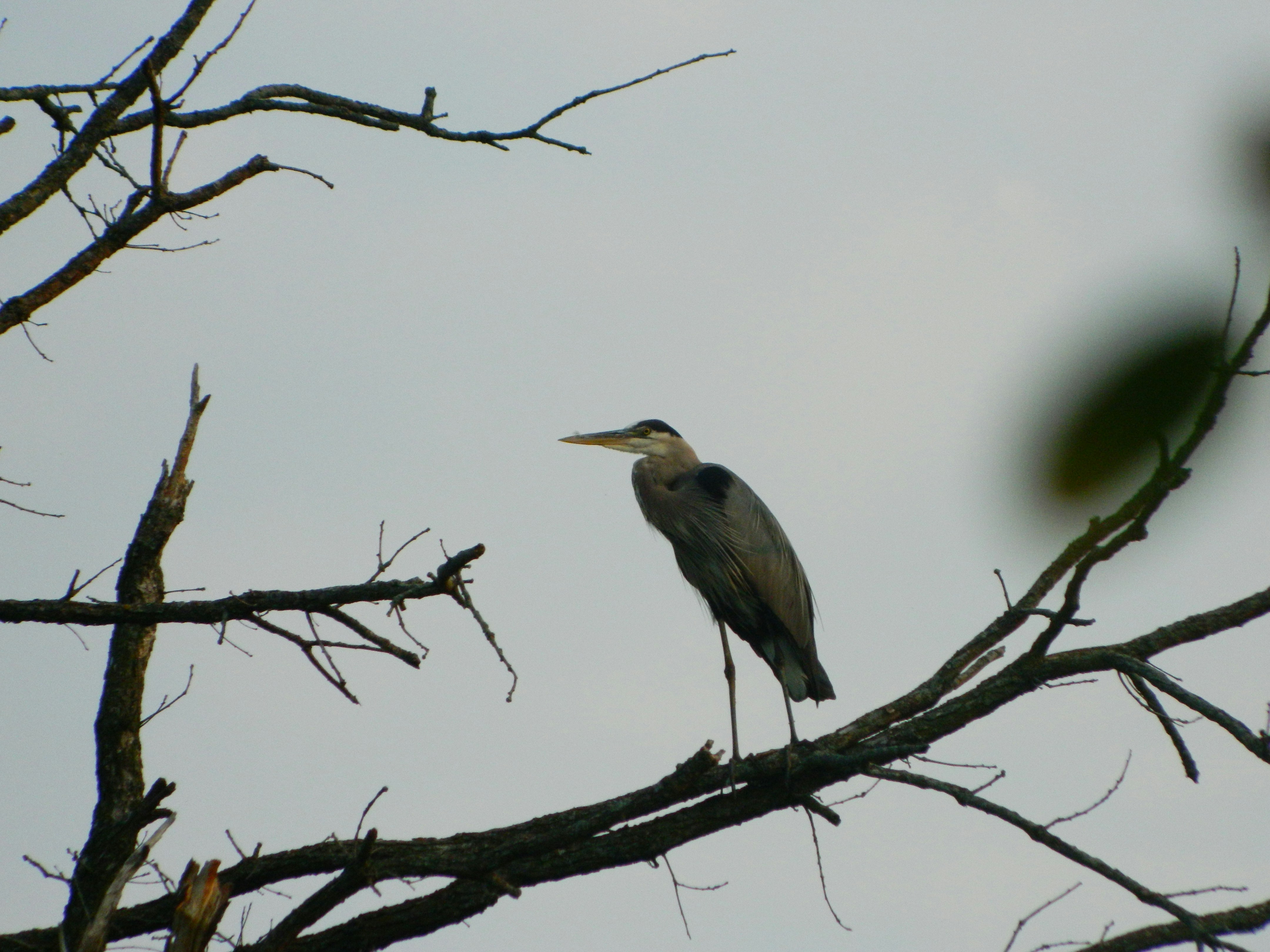 Featured image of post stop-slop