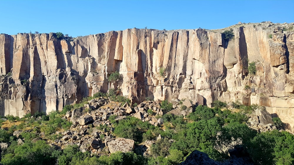 a rocky cliff with trees