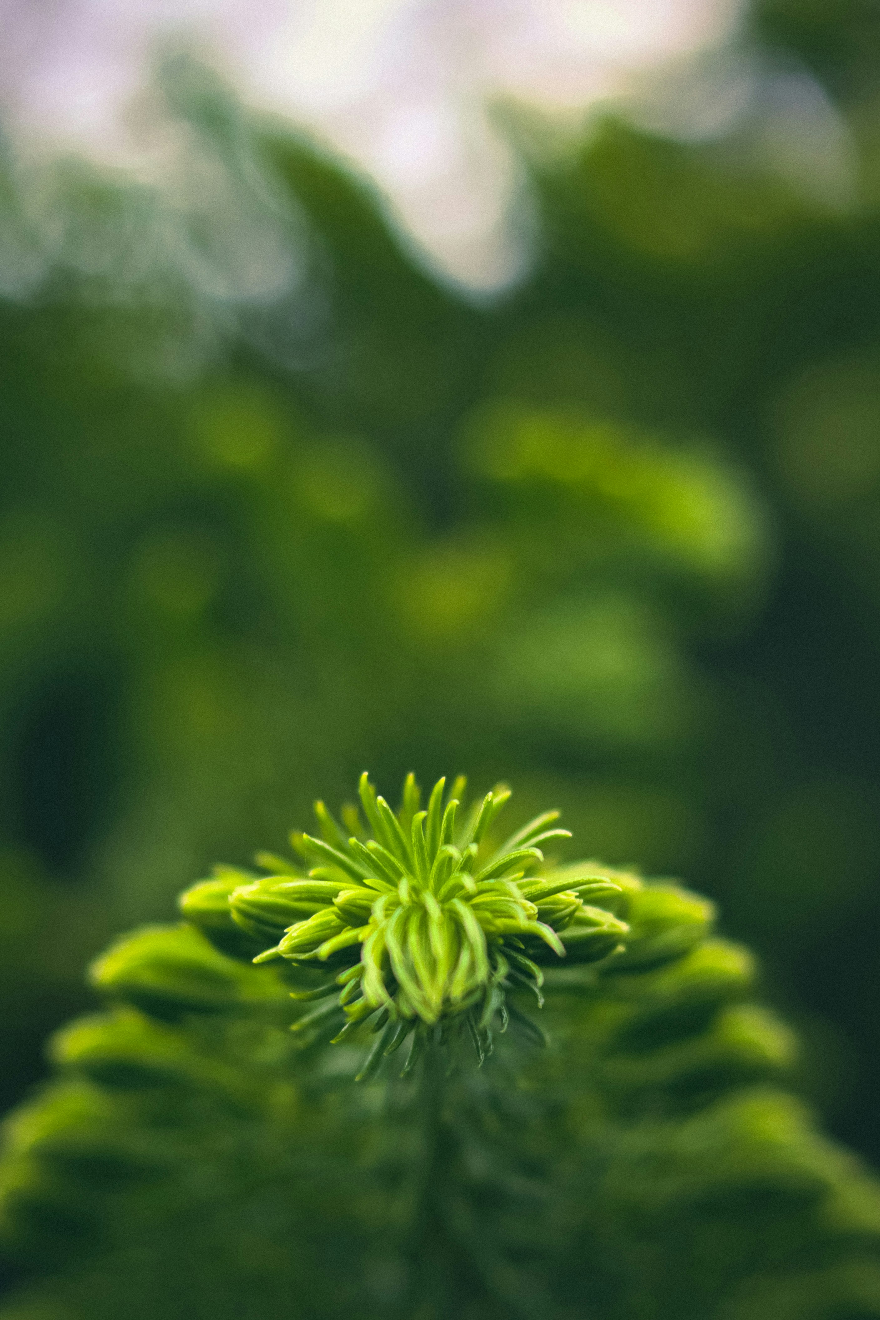 Photo by soonamwooeser