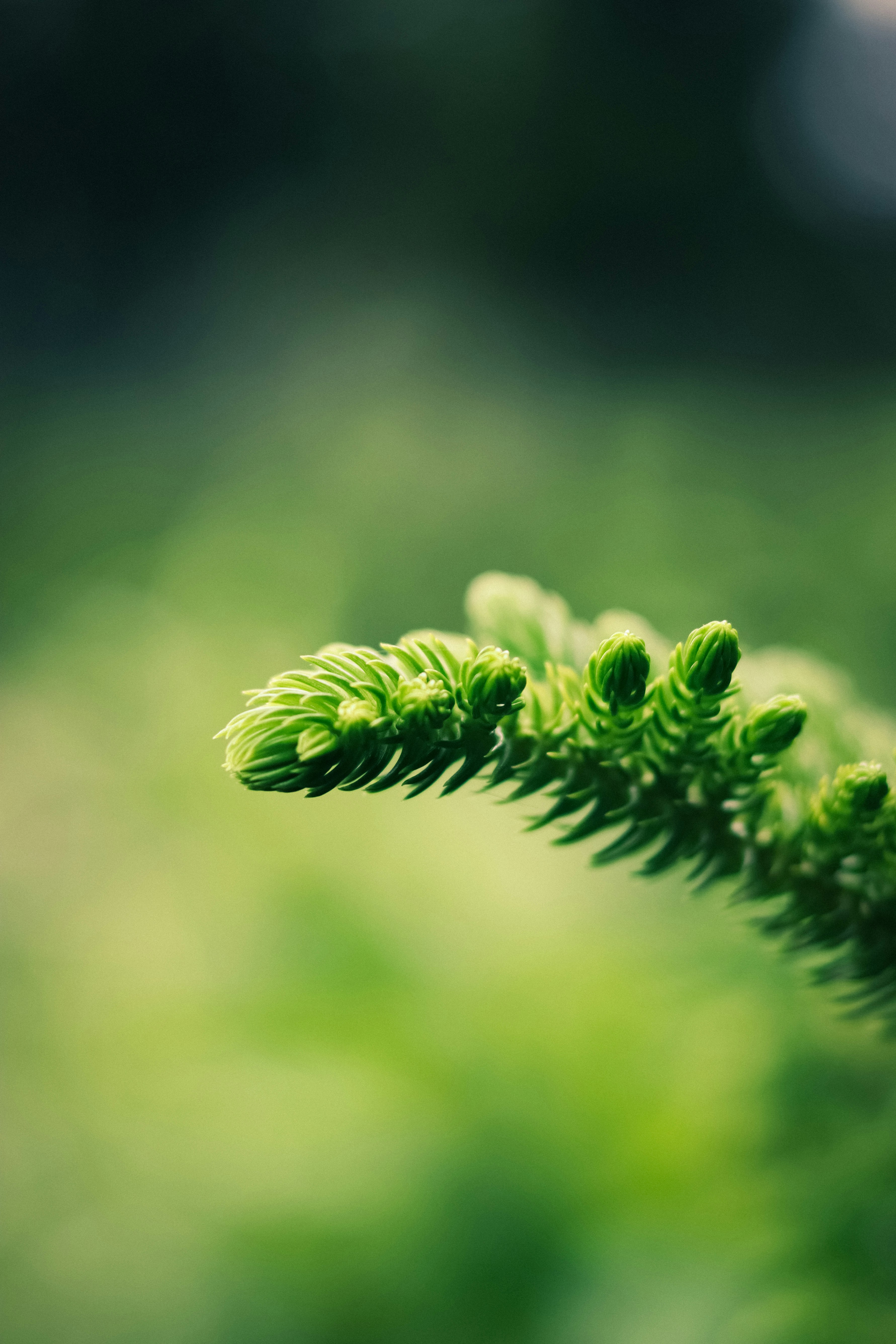 Photo by soonamwooeser