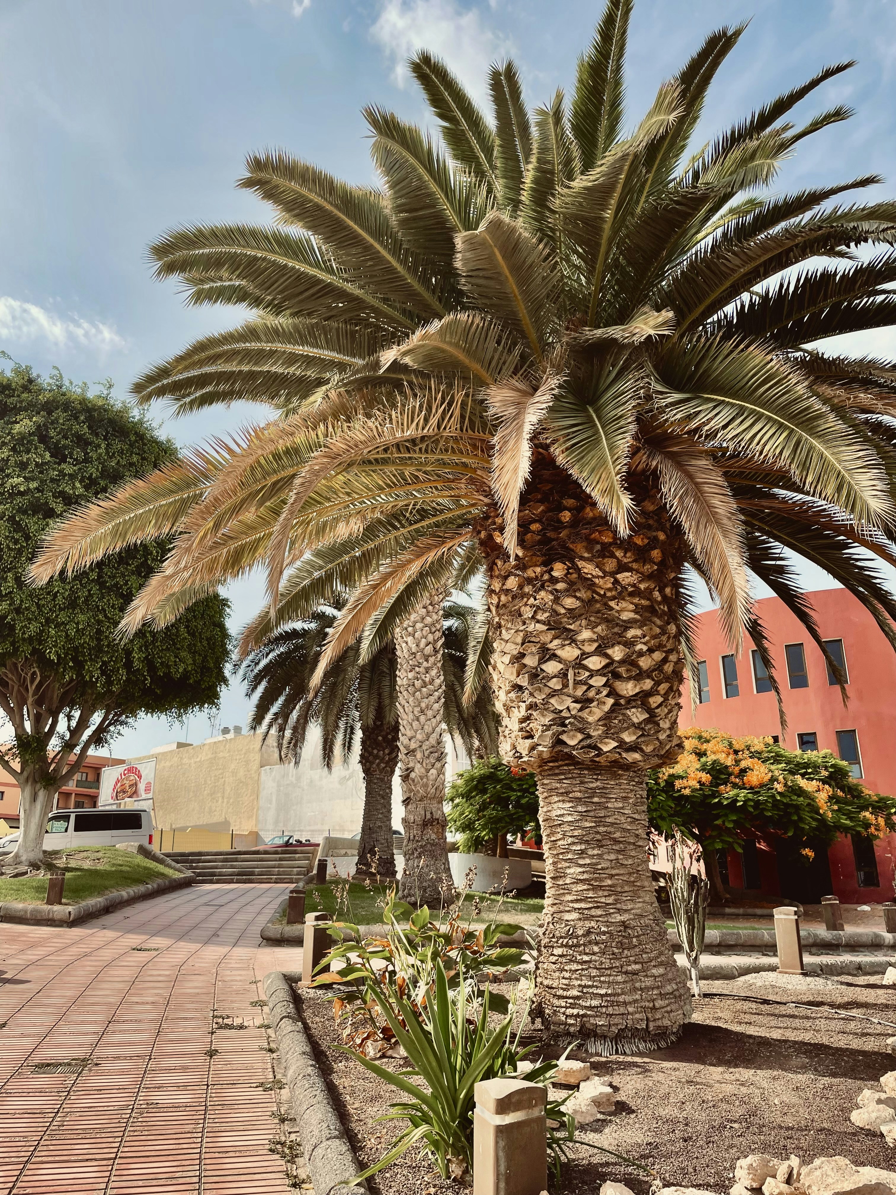 Photo by dtdimitroff