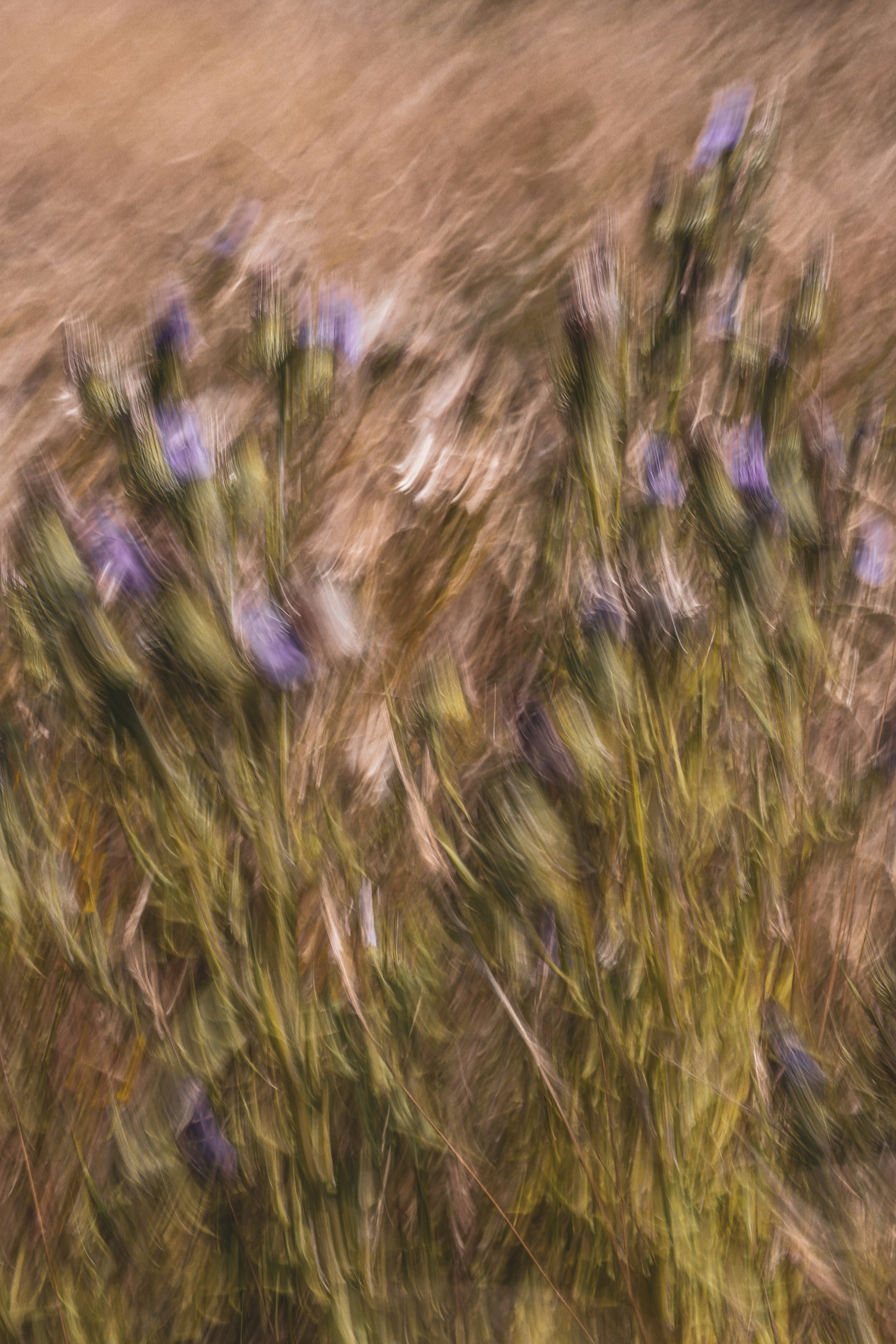 Photo by secondsight