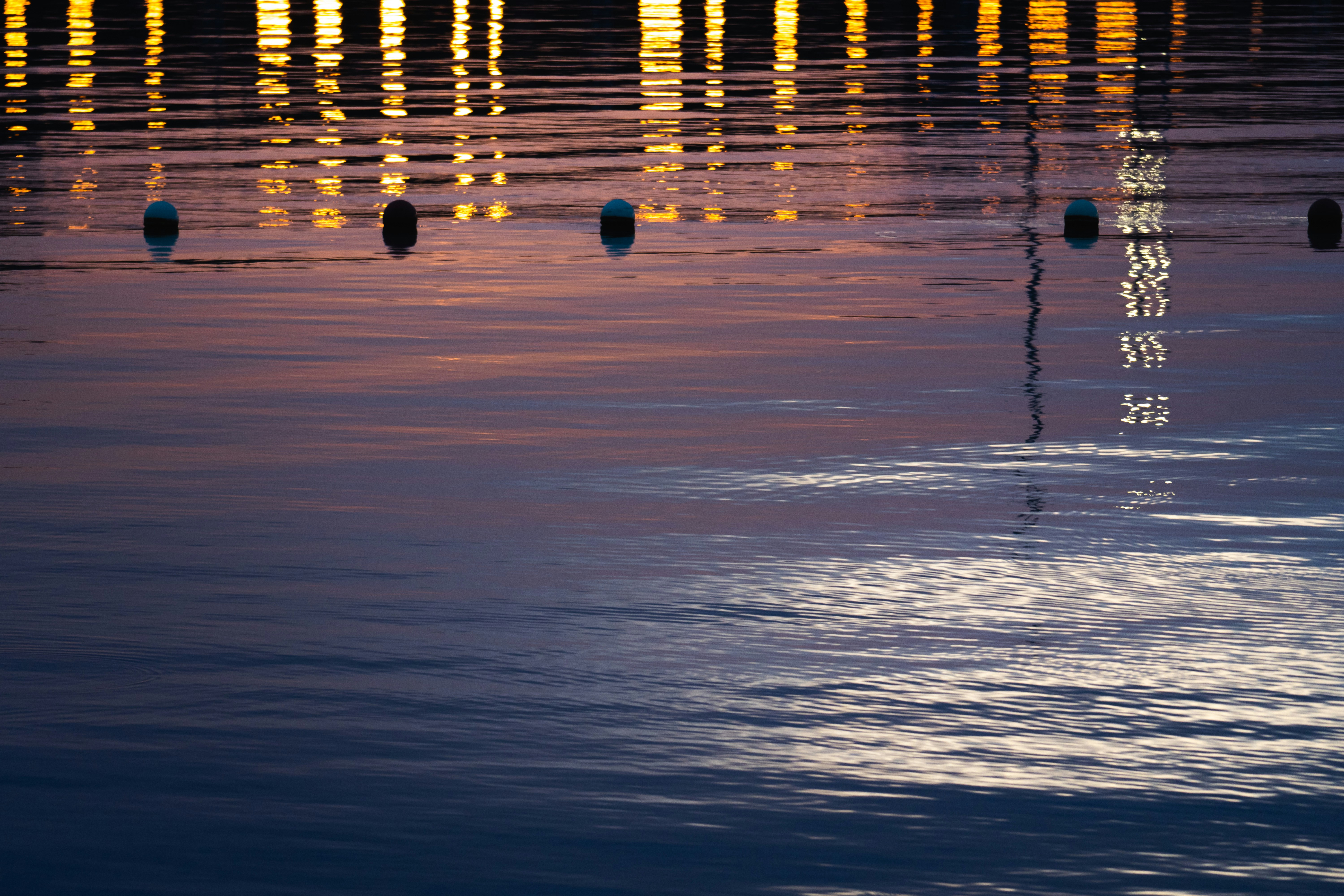 Photo by fanfandyuen