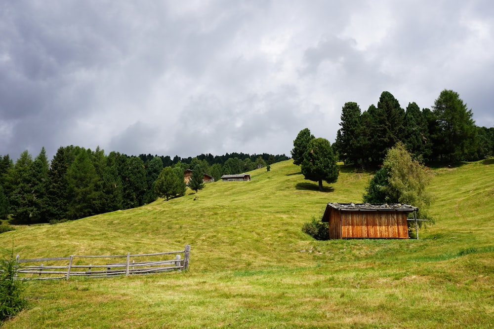 a grassy field with trees and a building in the distance