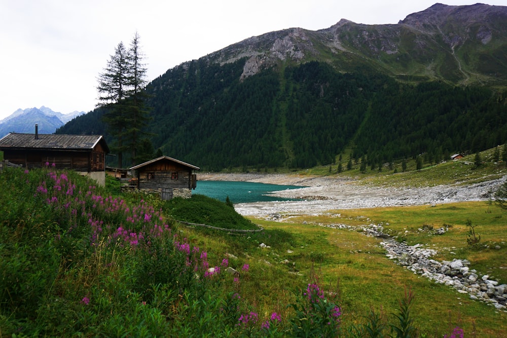 a small village by a river