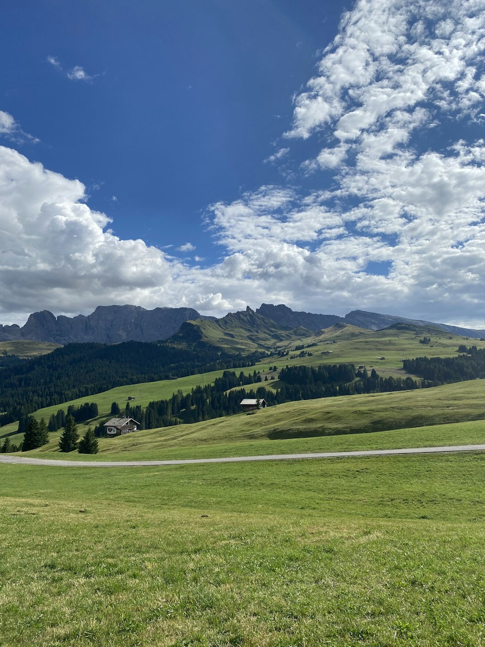 a landscape with trees and mountains in the background