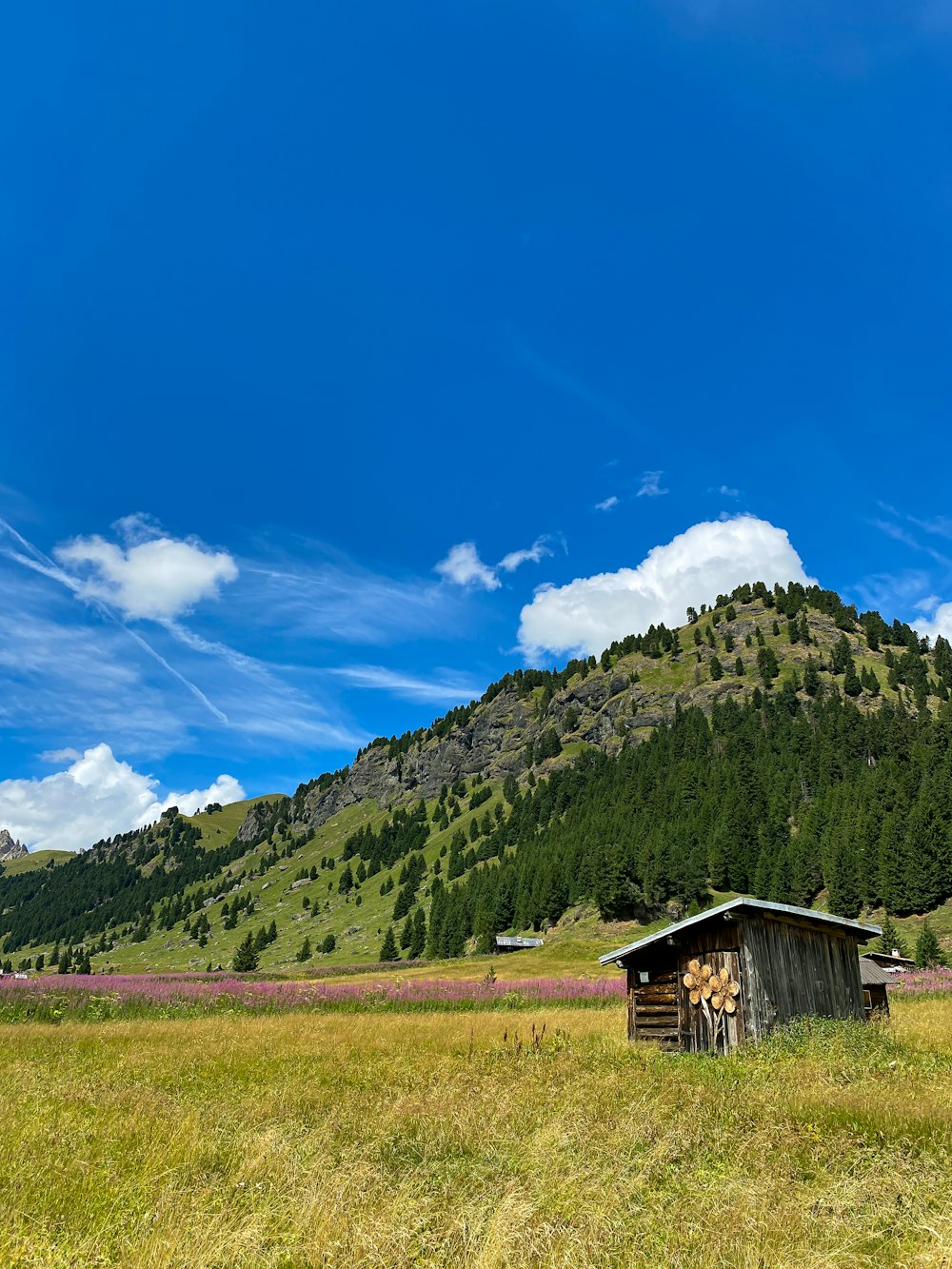 a building in a field with a hill in the background