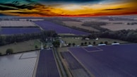 A cinematic shot of the open countryside around Sault, with lavender fields and rolling hills under a pastel sky.