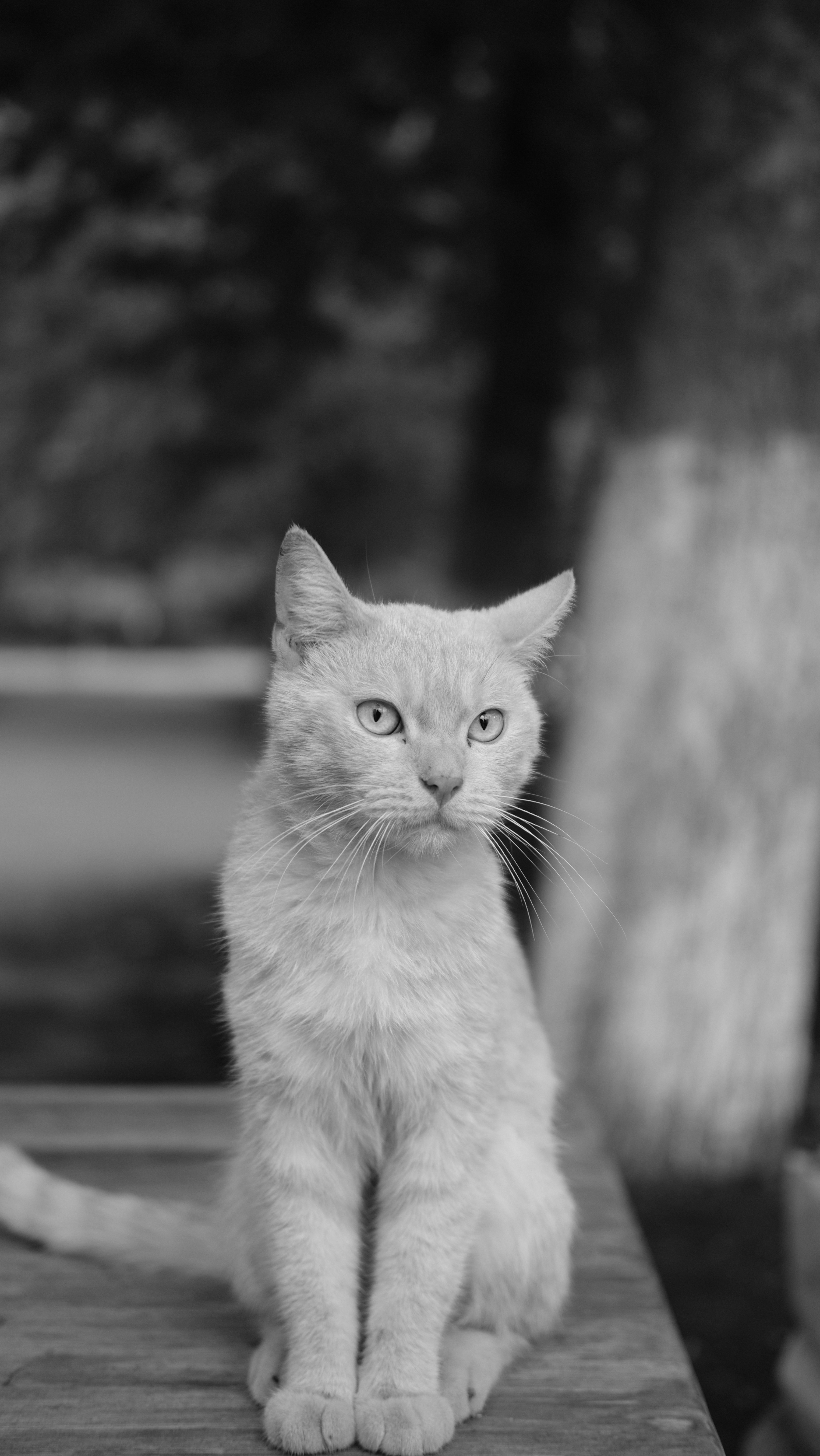 Photo by shamilkhasaev